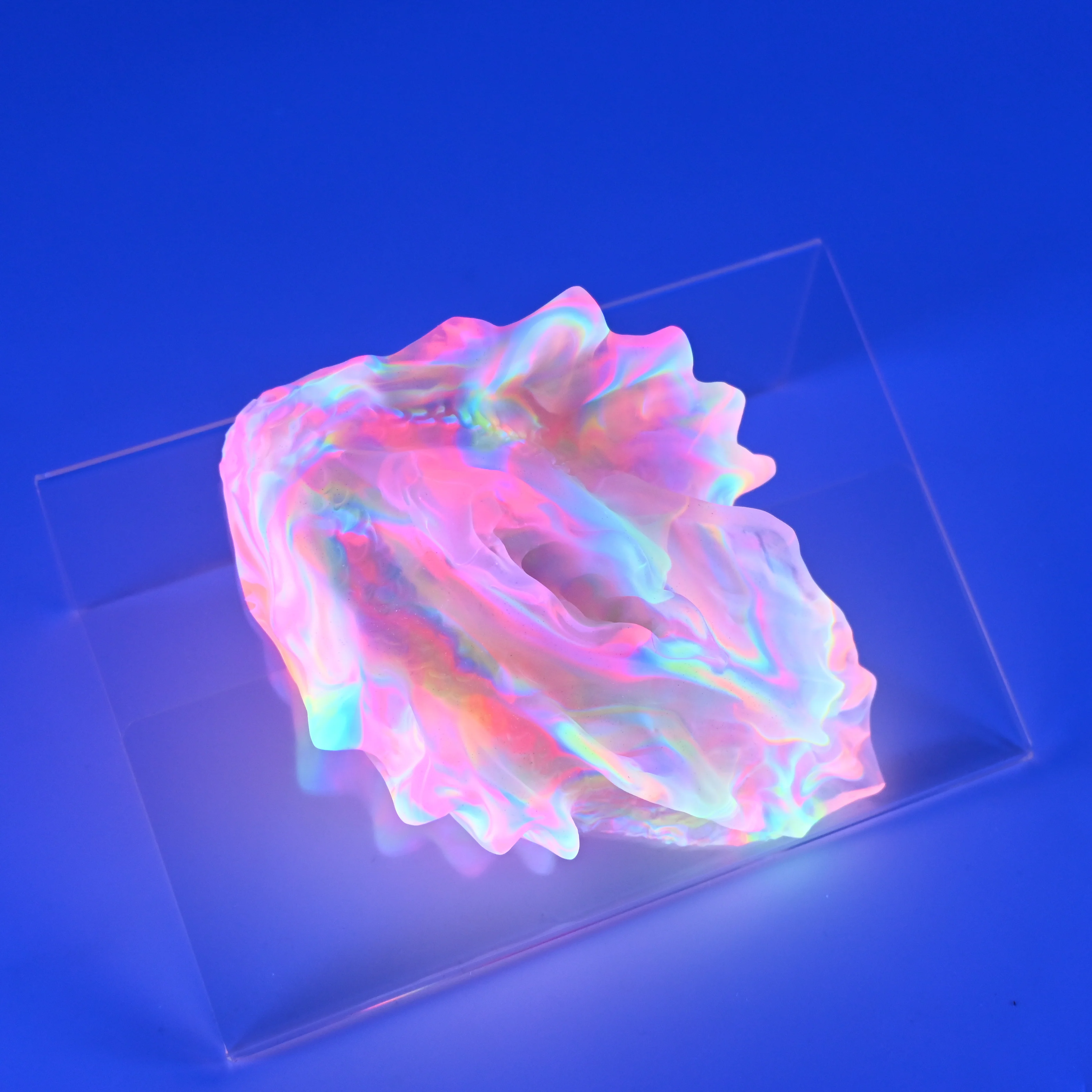 C2TJR58 Calypso Small NC 0031 UV CS - Image 3