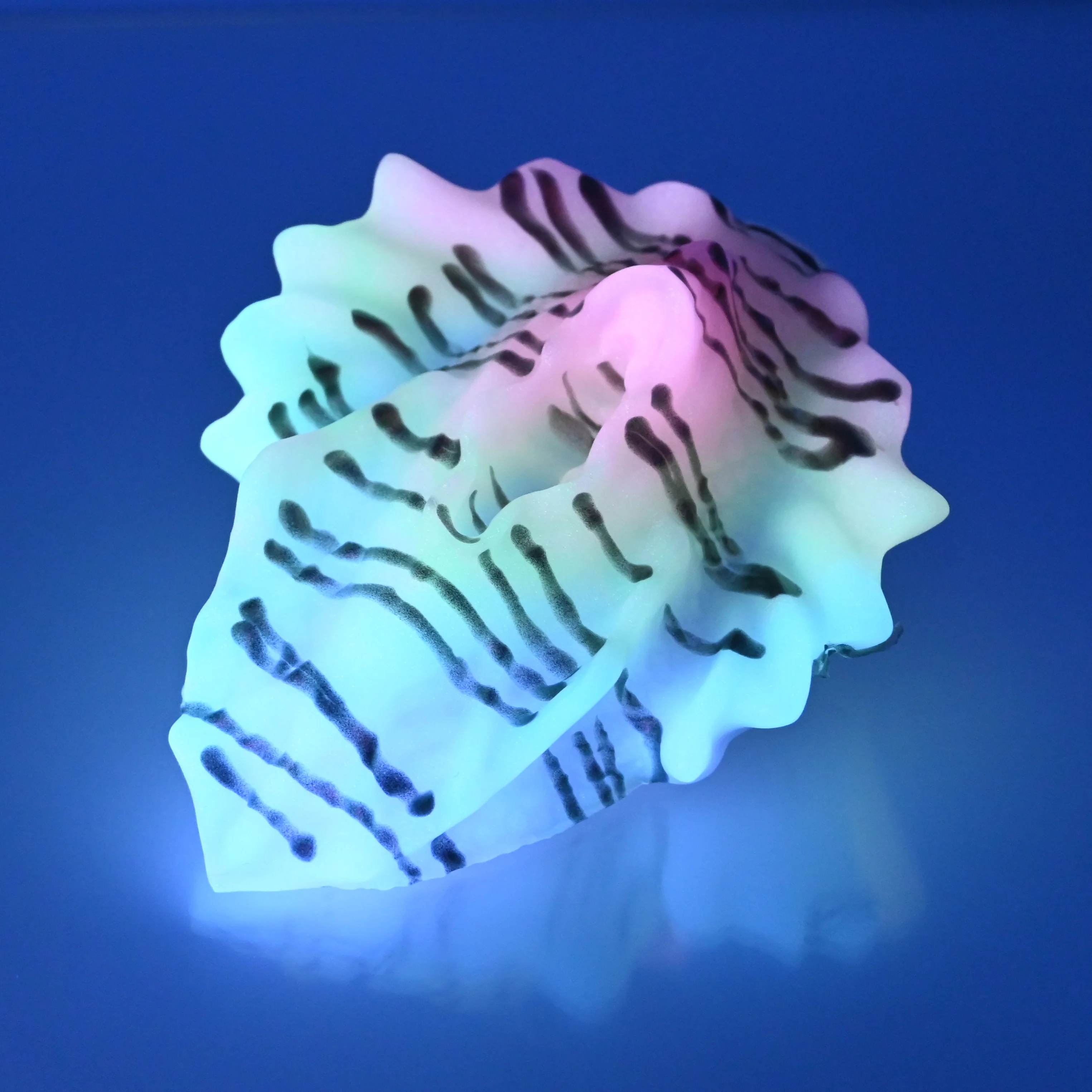 C2SDX78 Calypso Small 0030 UV GITD CS - Image 3
