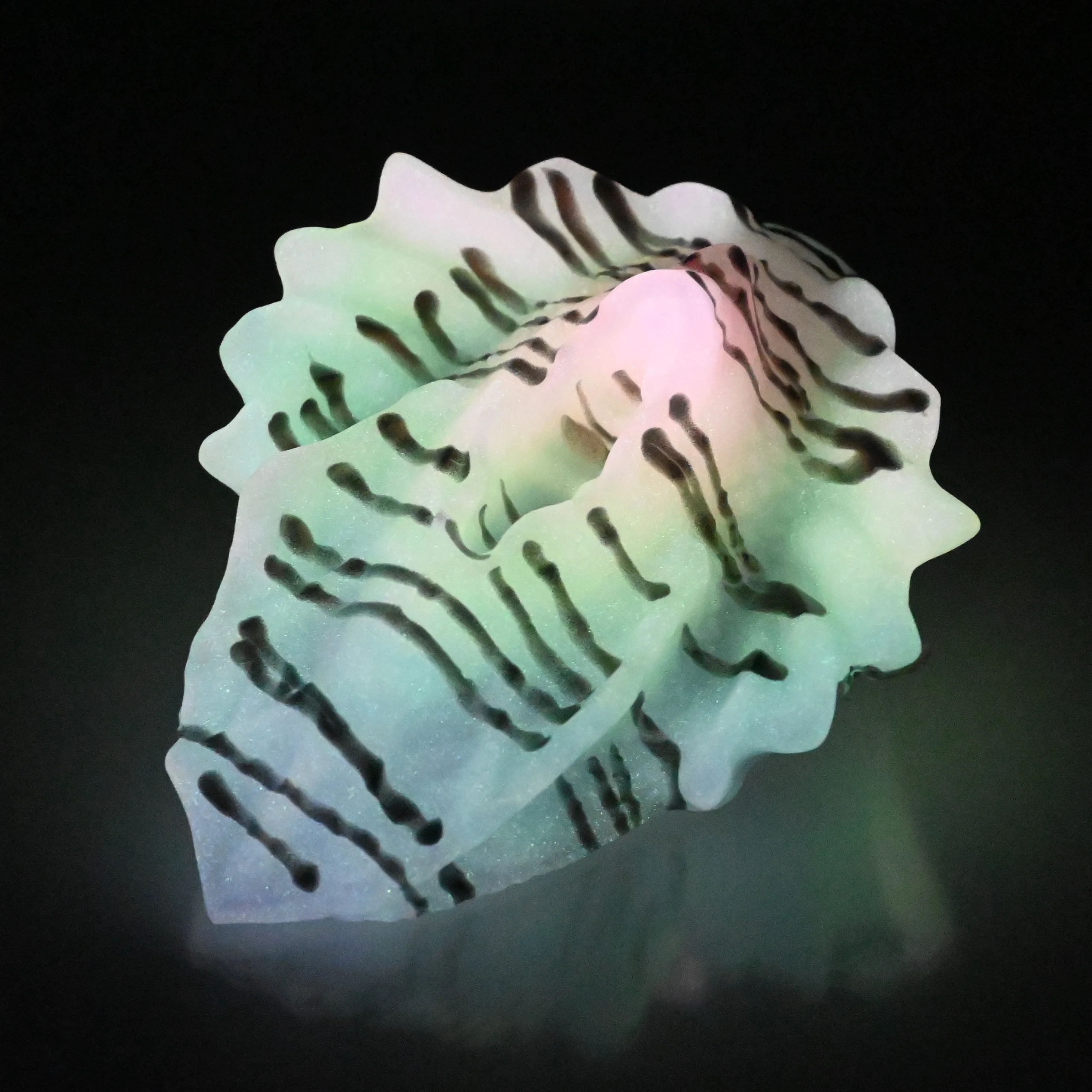 C2SDX78 Calypso Small 0030 UV GITD CS - Image 4
