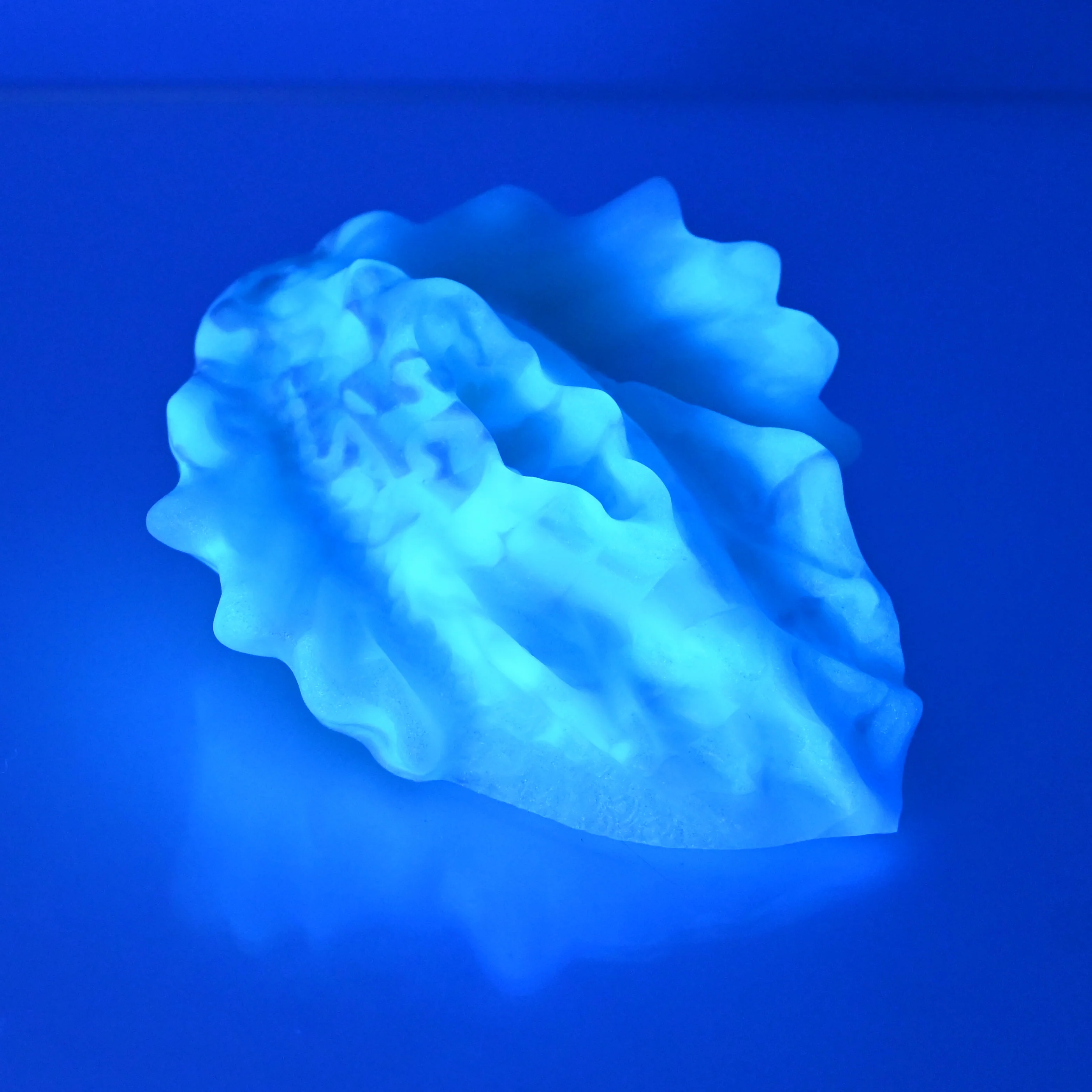 C2MEA61 Calypso Small 0050 UV GITD - Image 3