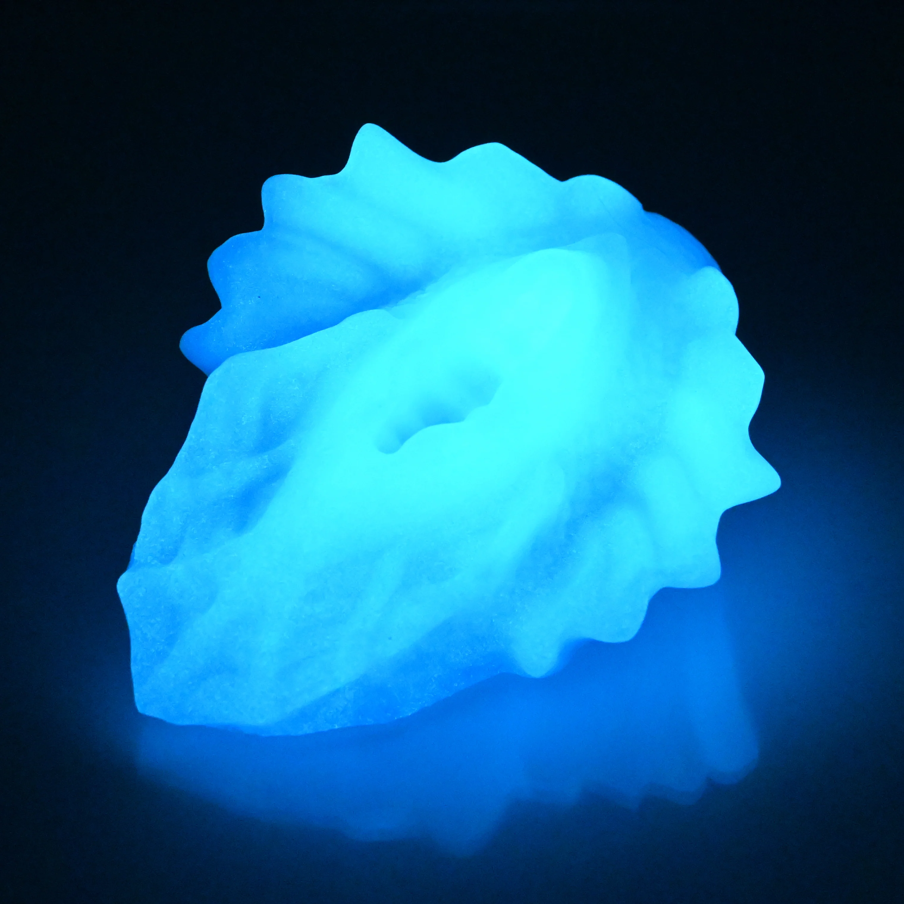 C2SEA59 Calypso Small 0030 UV GITD - Image 4