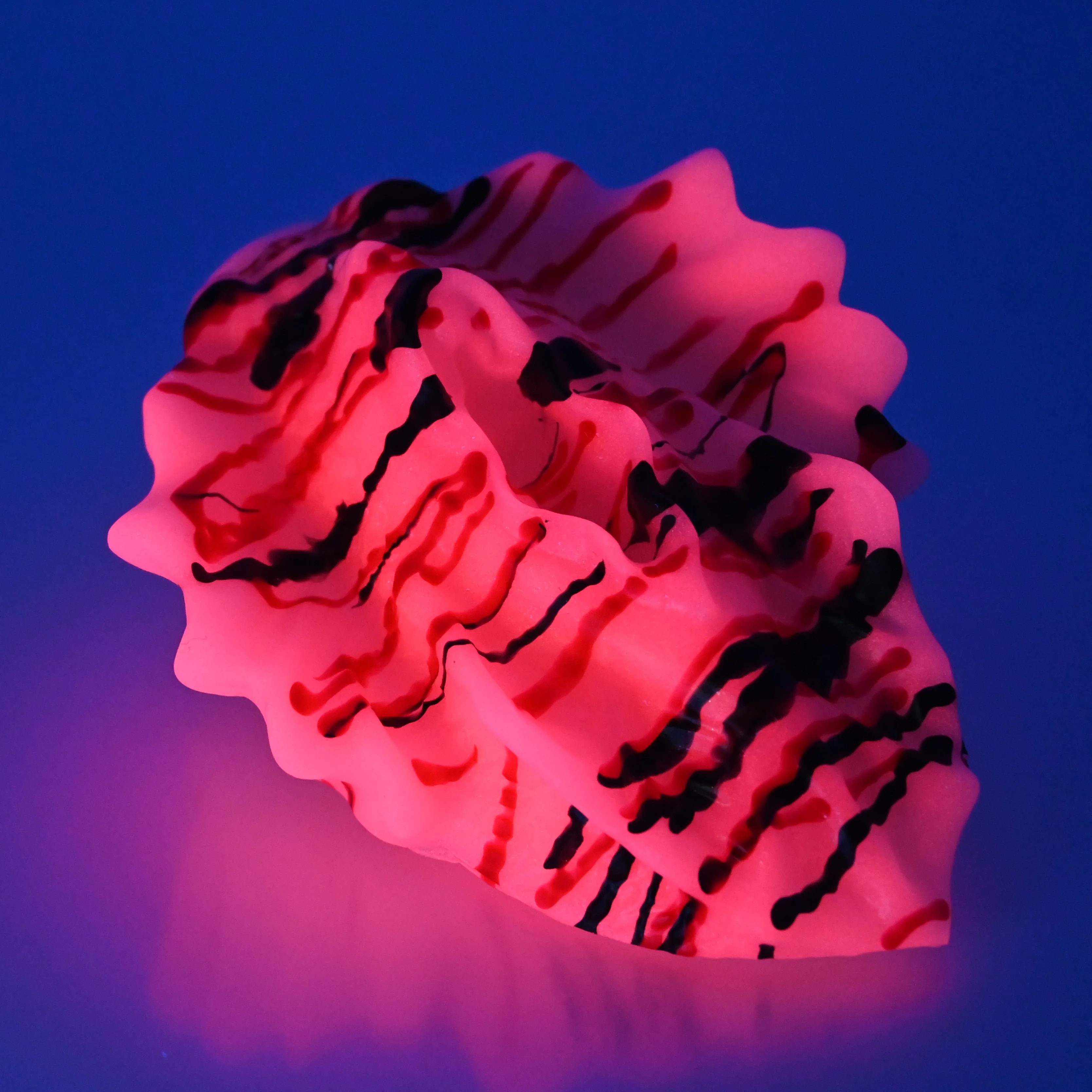 C2SEC18 Calypso Small 0030 UV GITD - Image 3
