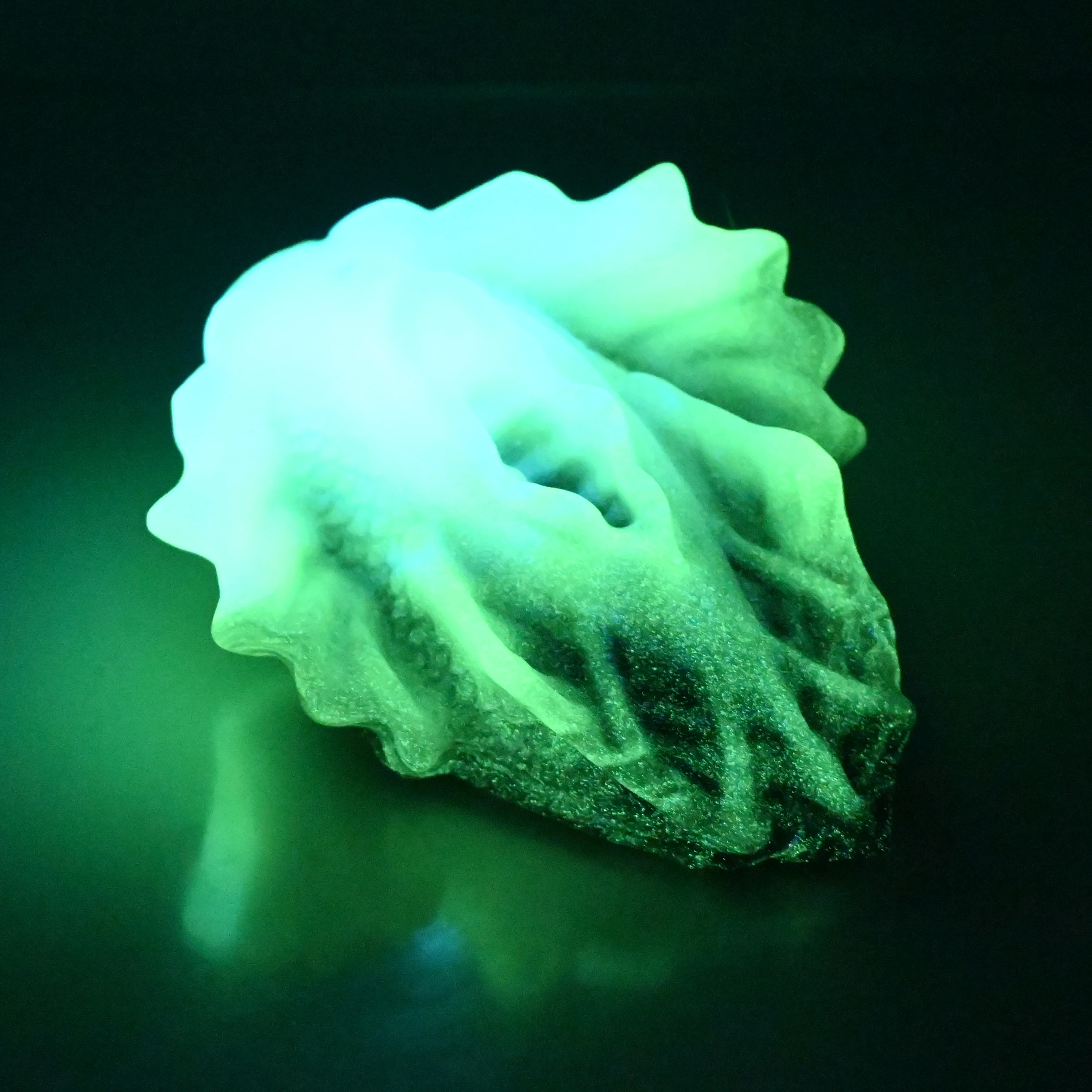 C2XEH82 Calypso Small 0020 UV GITD - Image 4