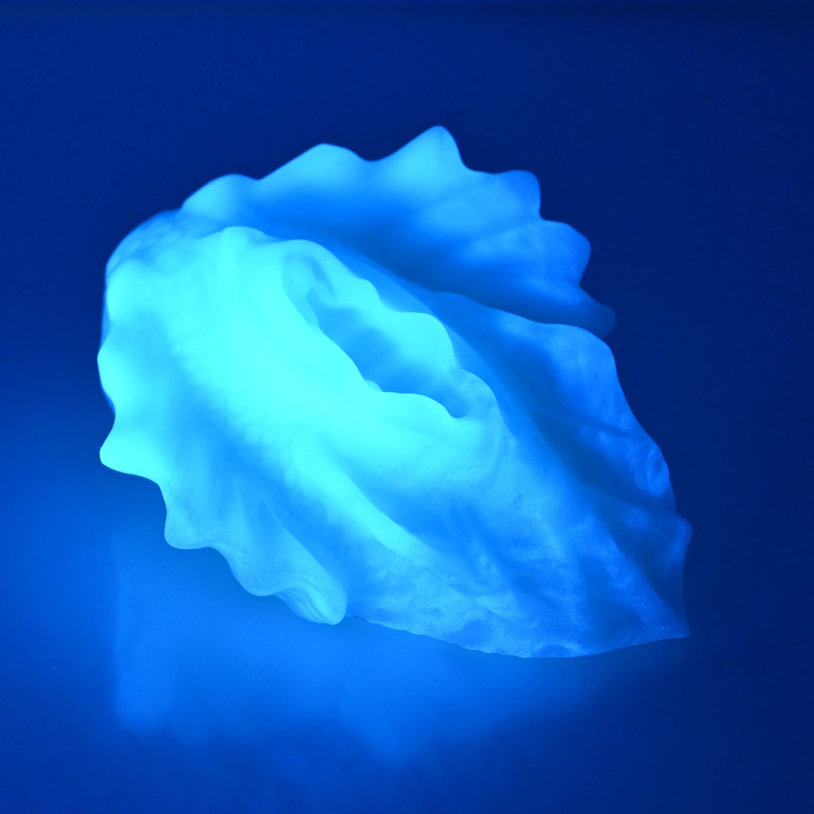 C2MFB92 Calypso Small 0050 UV GITD - Image 3