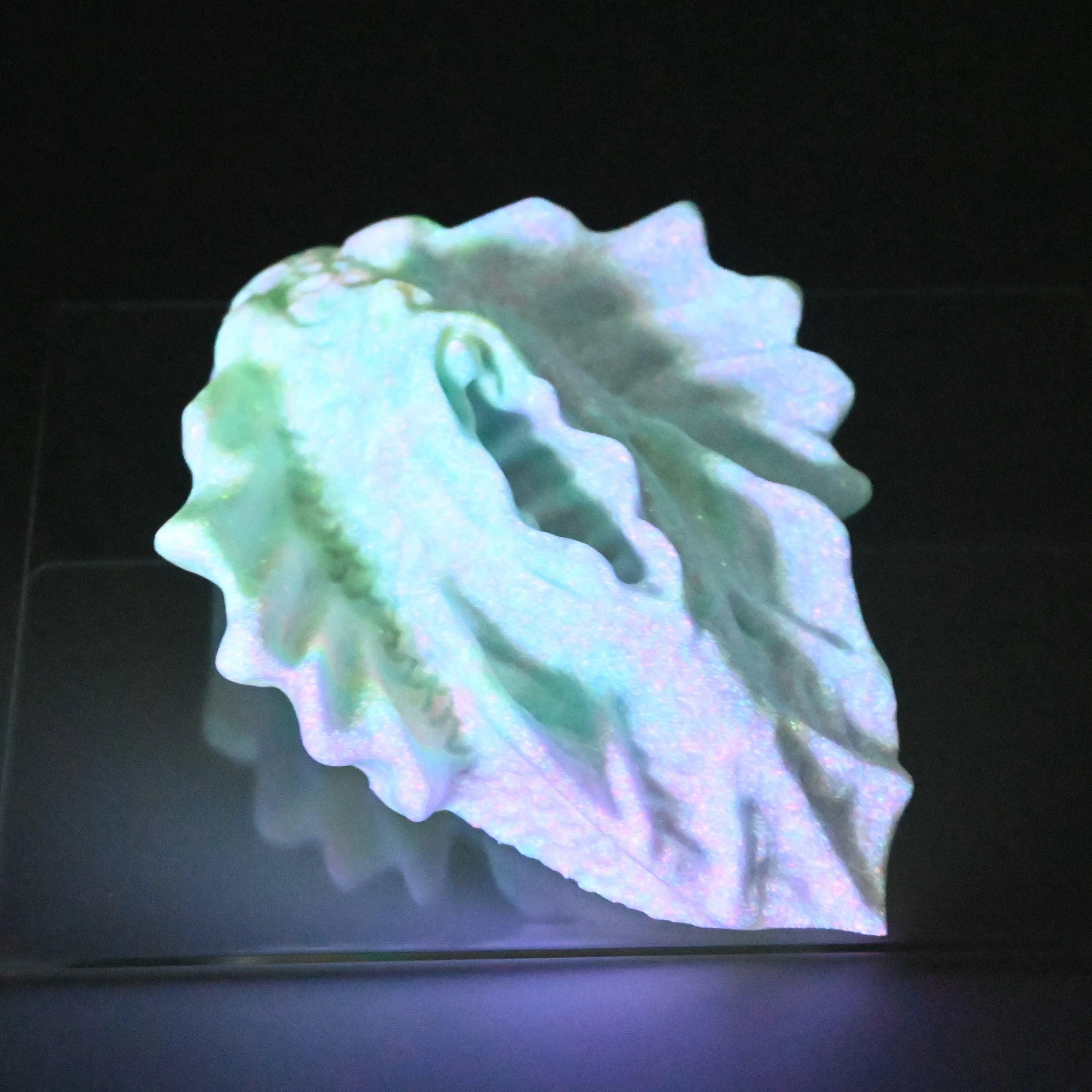 C2SGU75 Calypso Small 0030 UV GITD - Image 4
