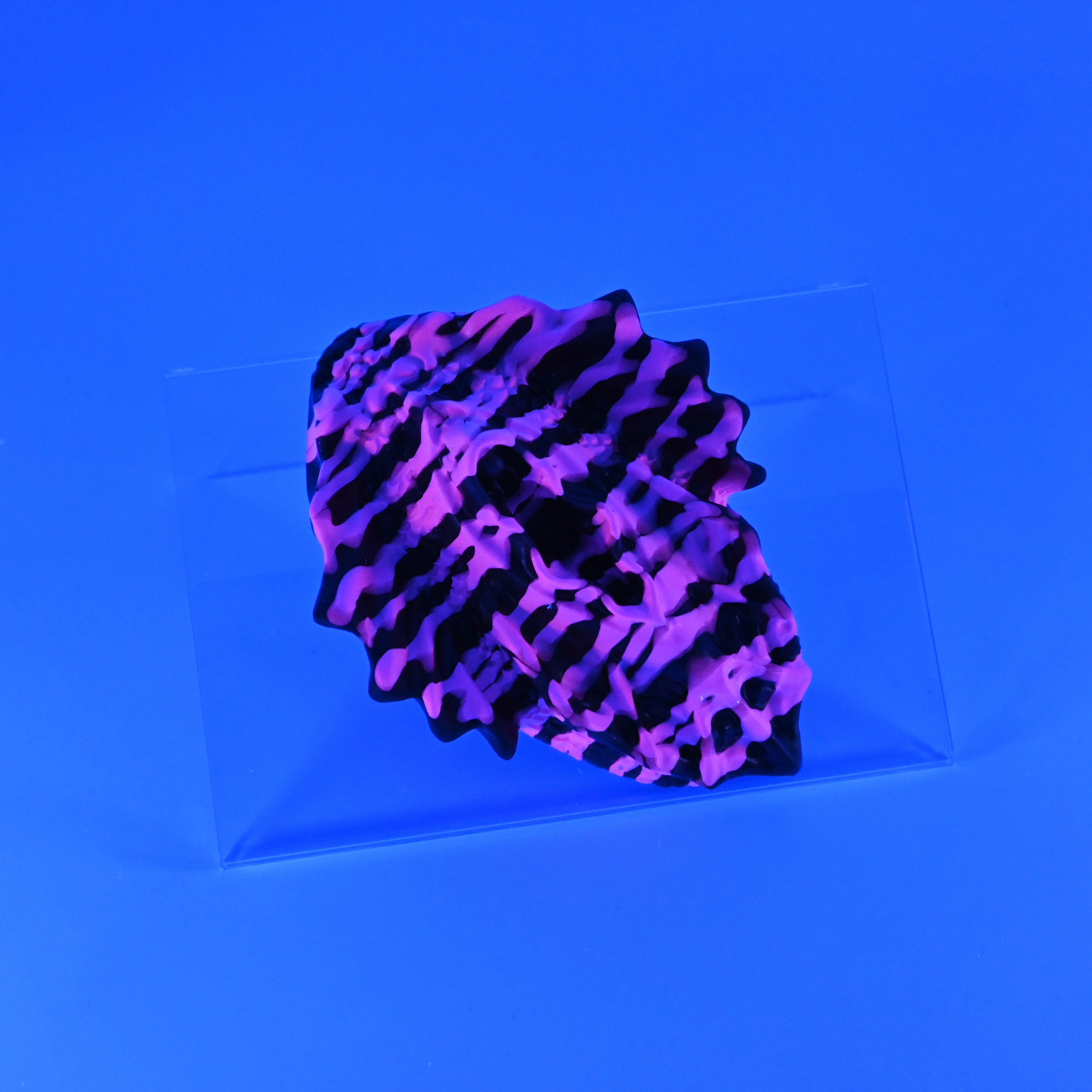 C2SHF31 Calypso Small 0030 UV - Image 3