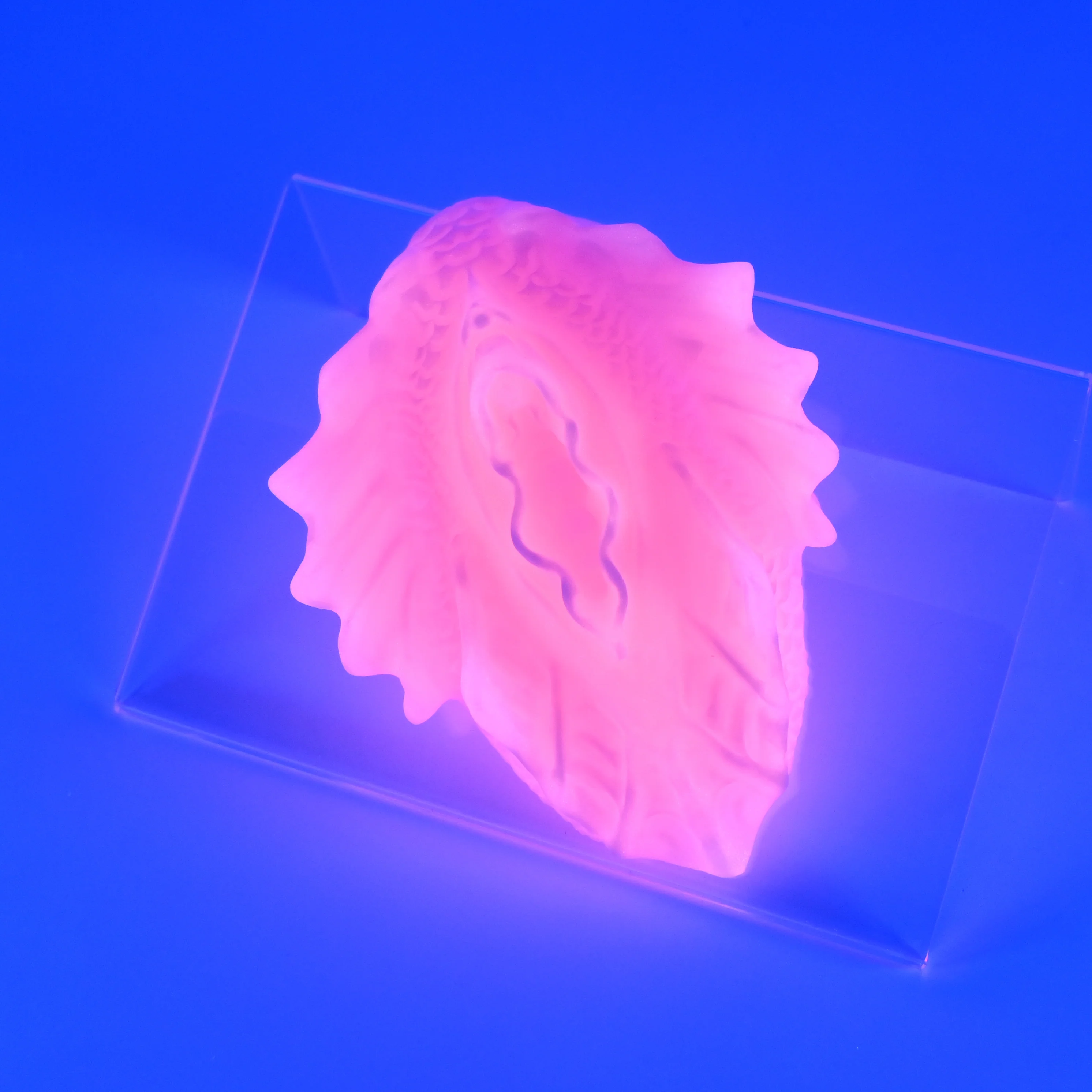C2XHJ32 Calypso Small 0020 UV GITD - Image 3