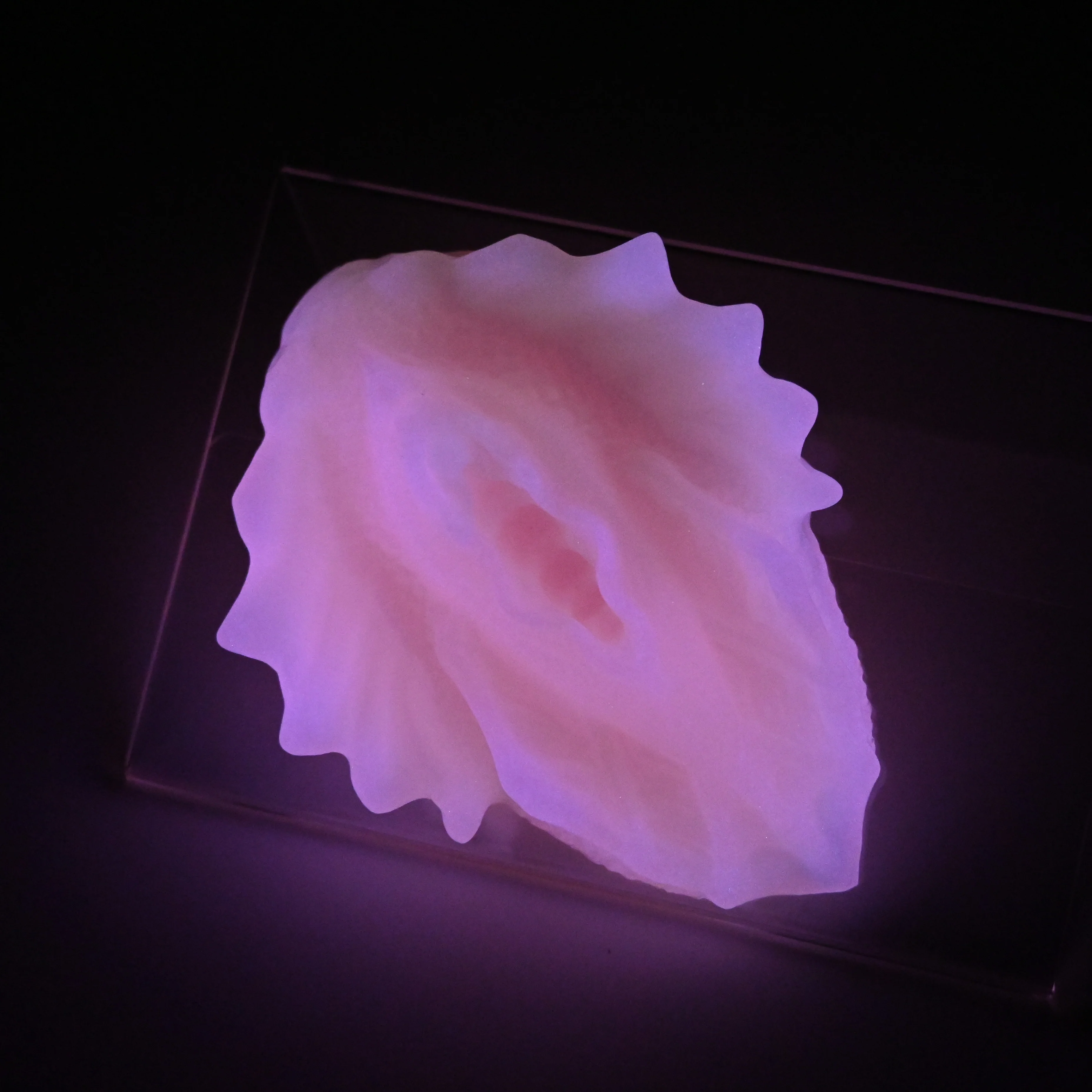 C2XJT49 Calypso Small 0020 UV GITD - Image 3