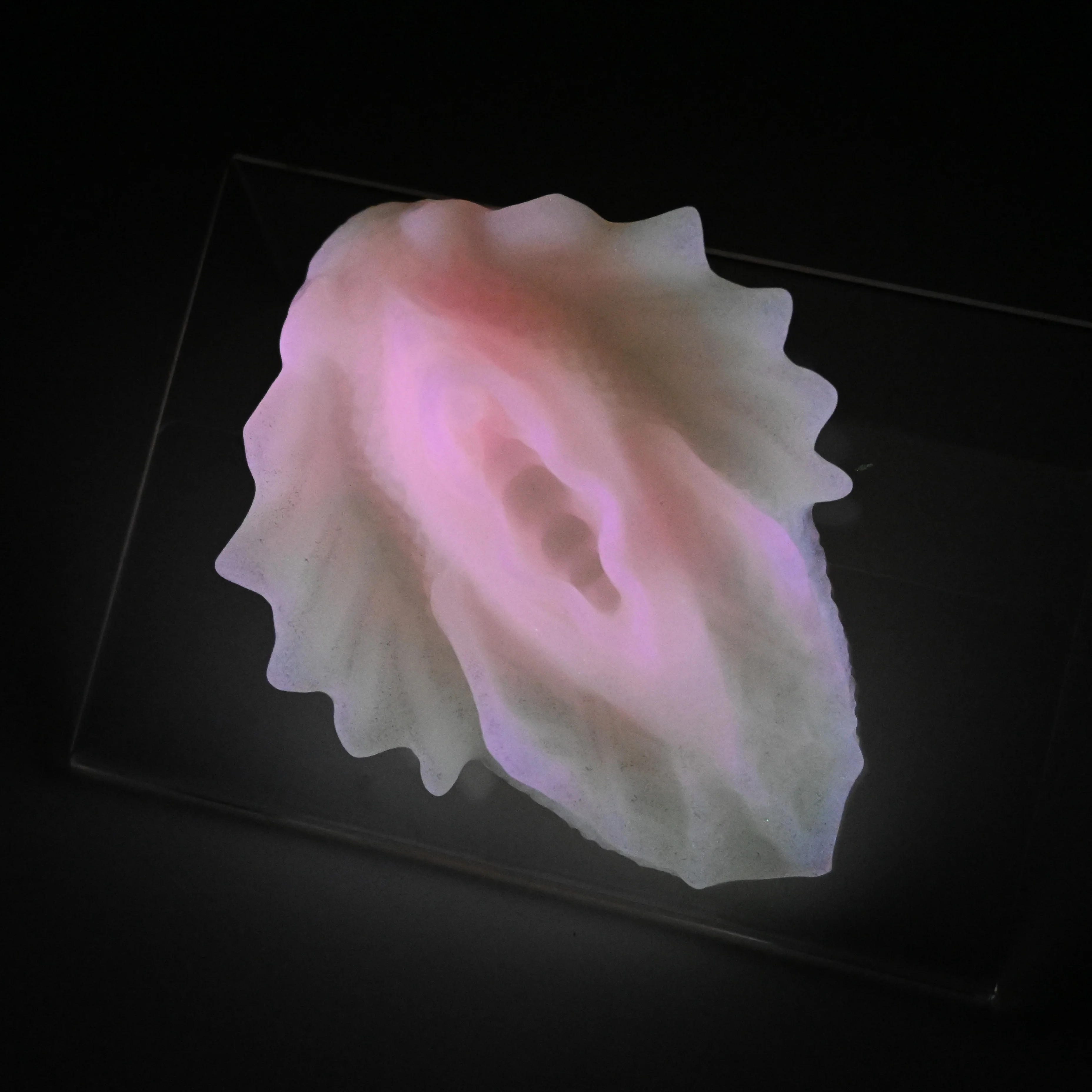 C2SJT50 Calypso Small 0030 UV GITD - Image 3