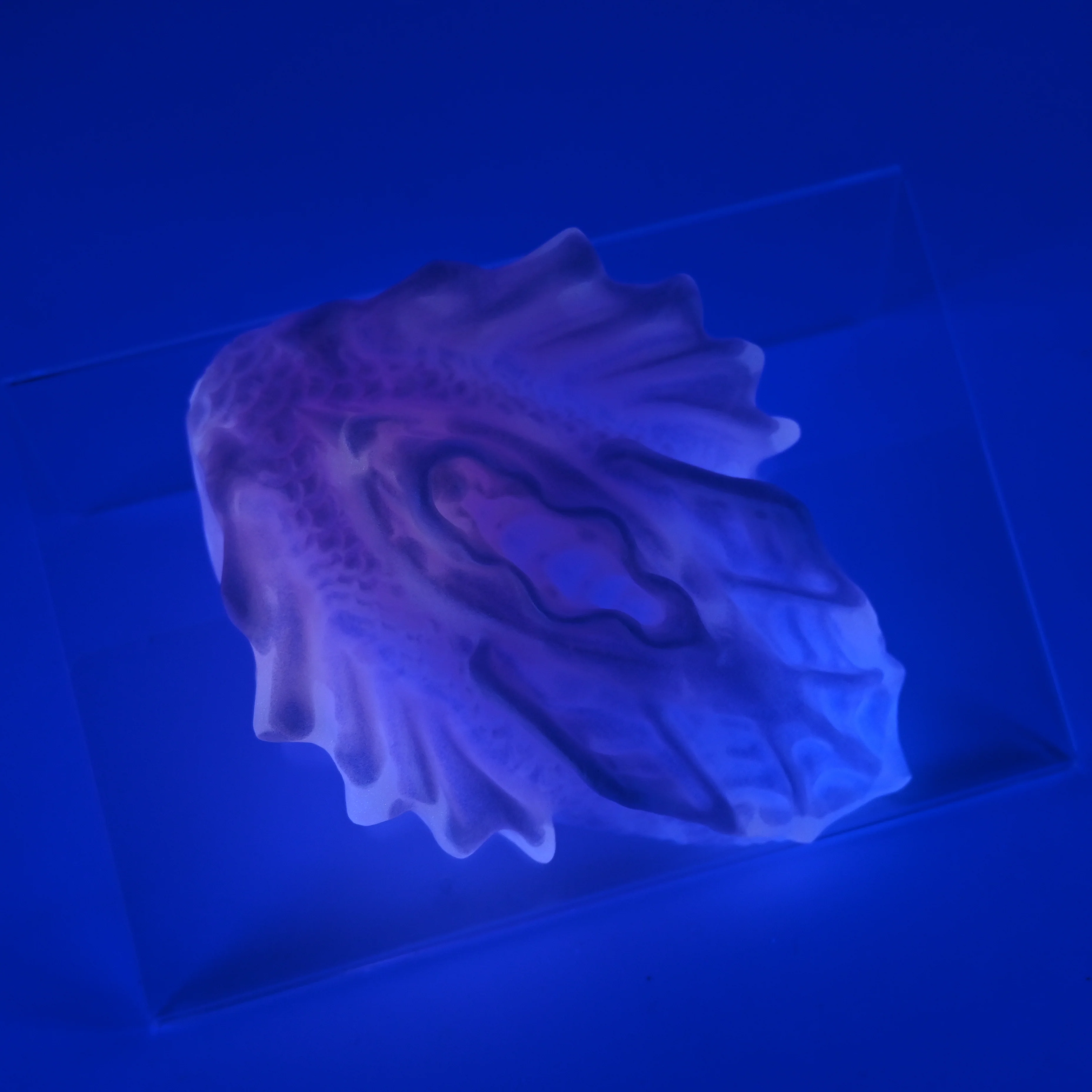 C2SJT51 Calypso Small 0030 UV GITD - Image 2