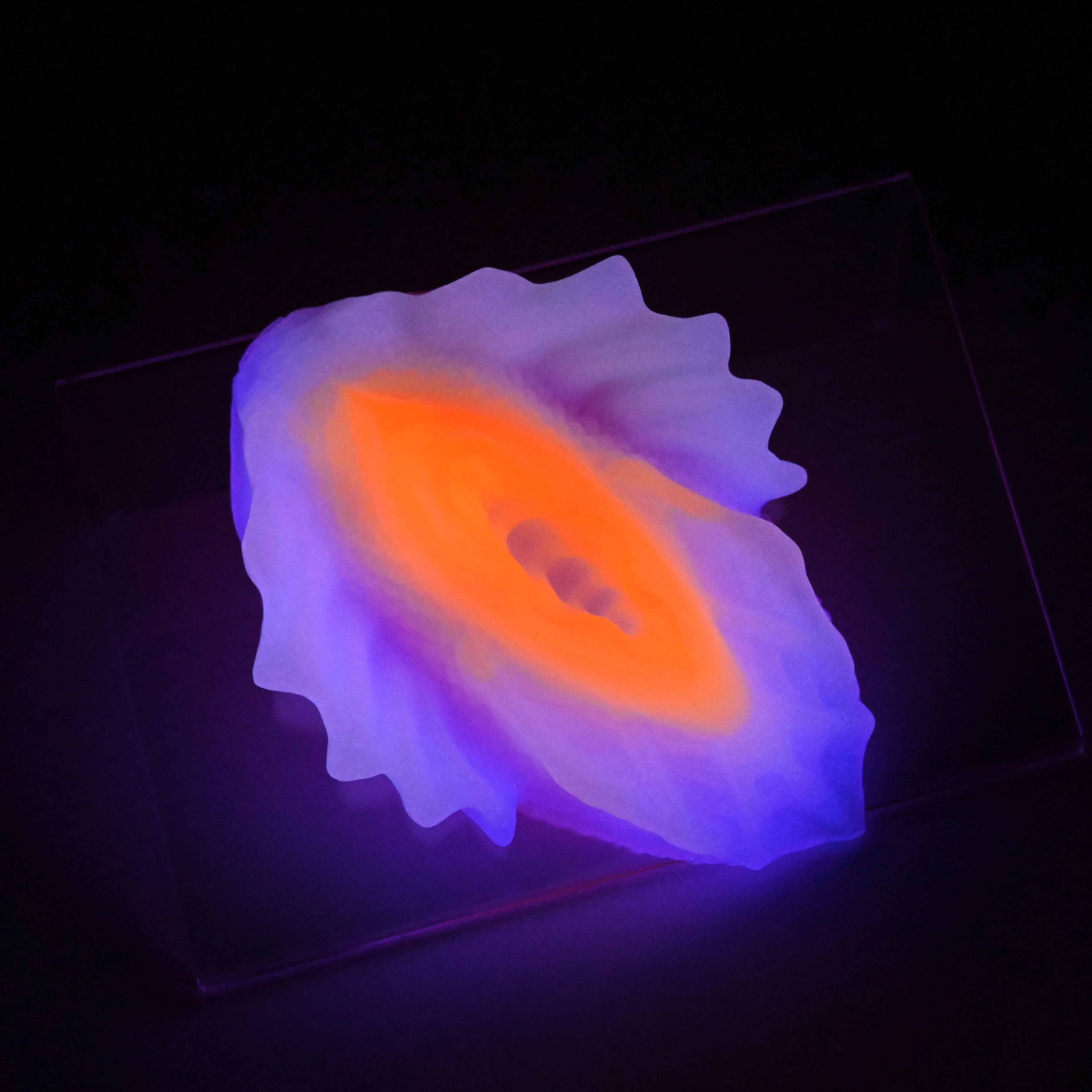 C2SJX28 Calypso Small 0030 UV GITD - Image 3