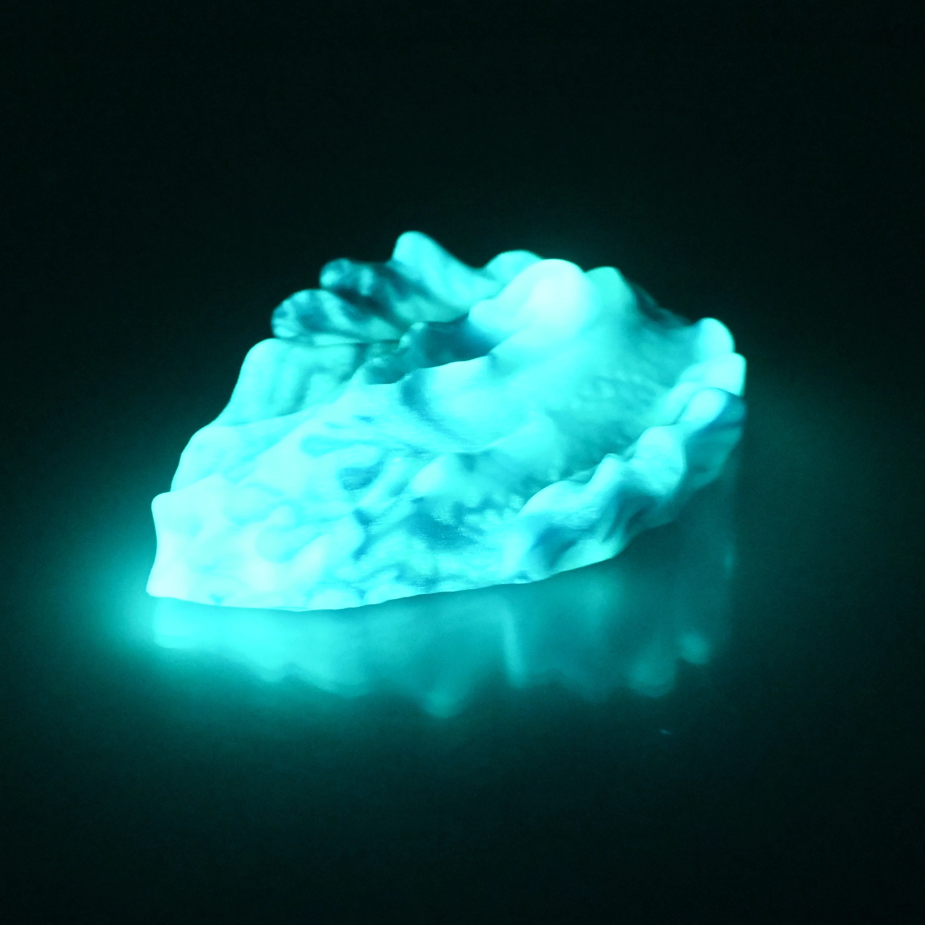 C2SDA09 Calypso Small 0030 UV GITD - Image 4