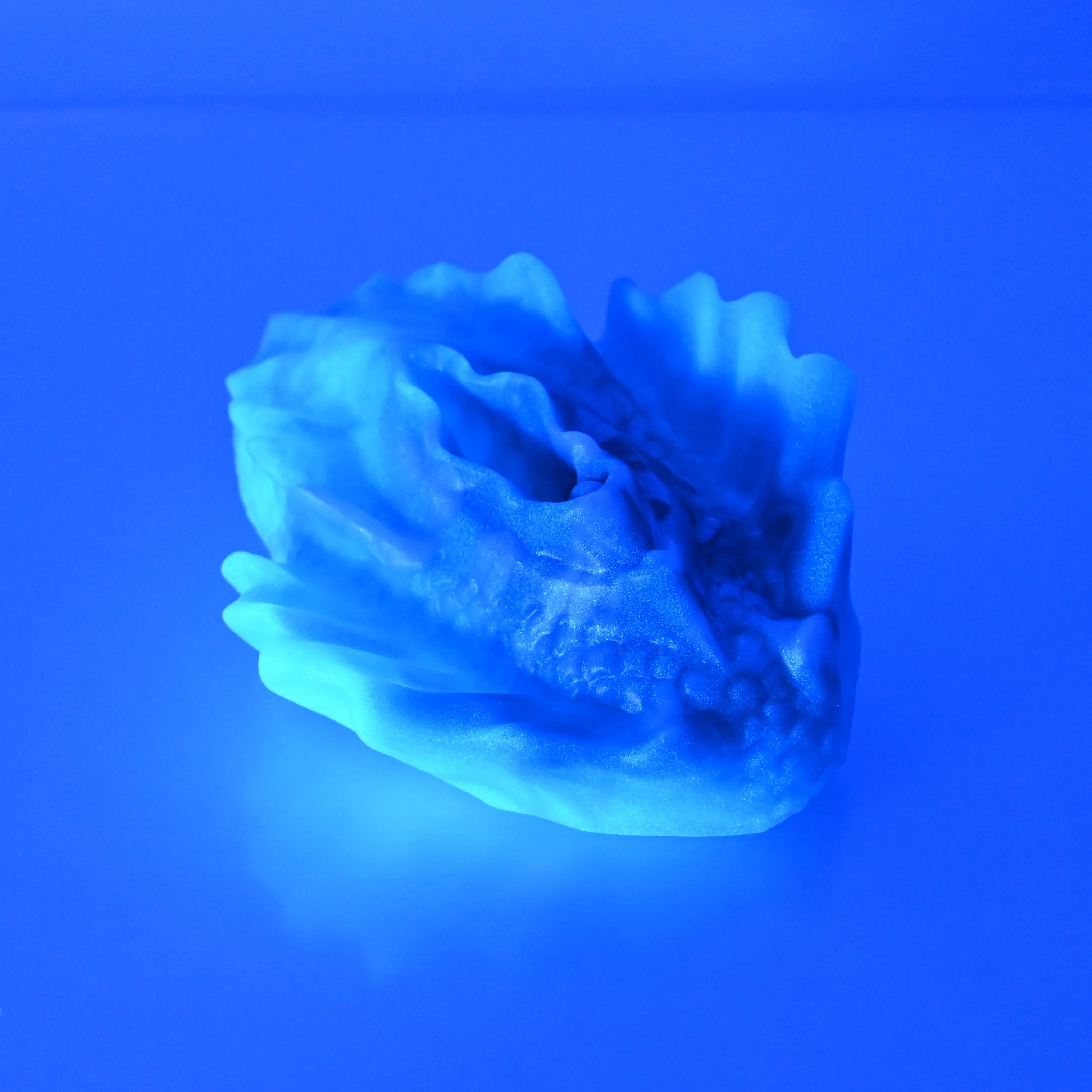 C2SDJ29 Calypso Small 0030 UV GITD CS - Image 3