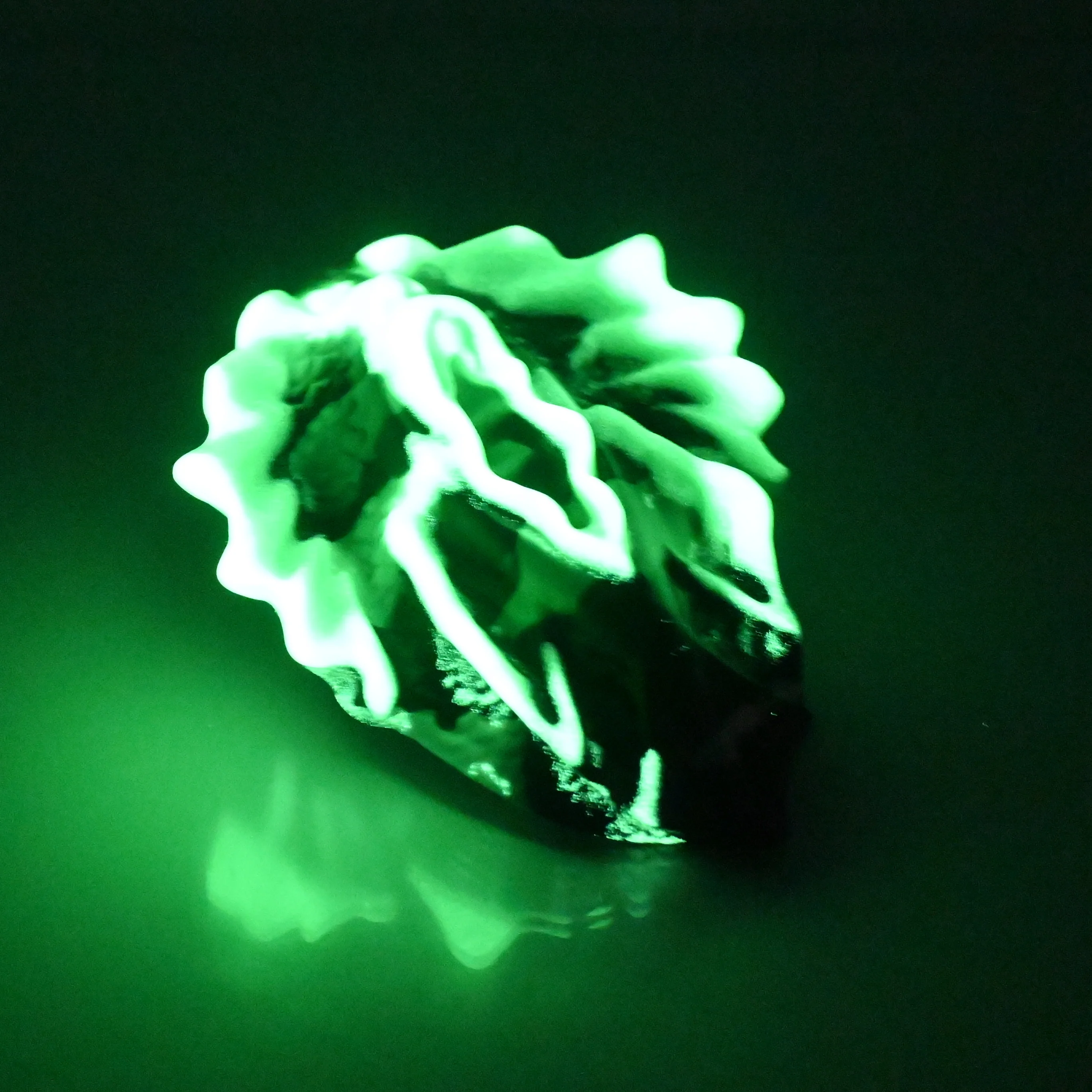C2MDT06 Calypso Small 0050 UV GITD - Image 4