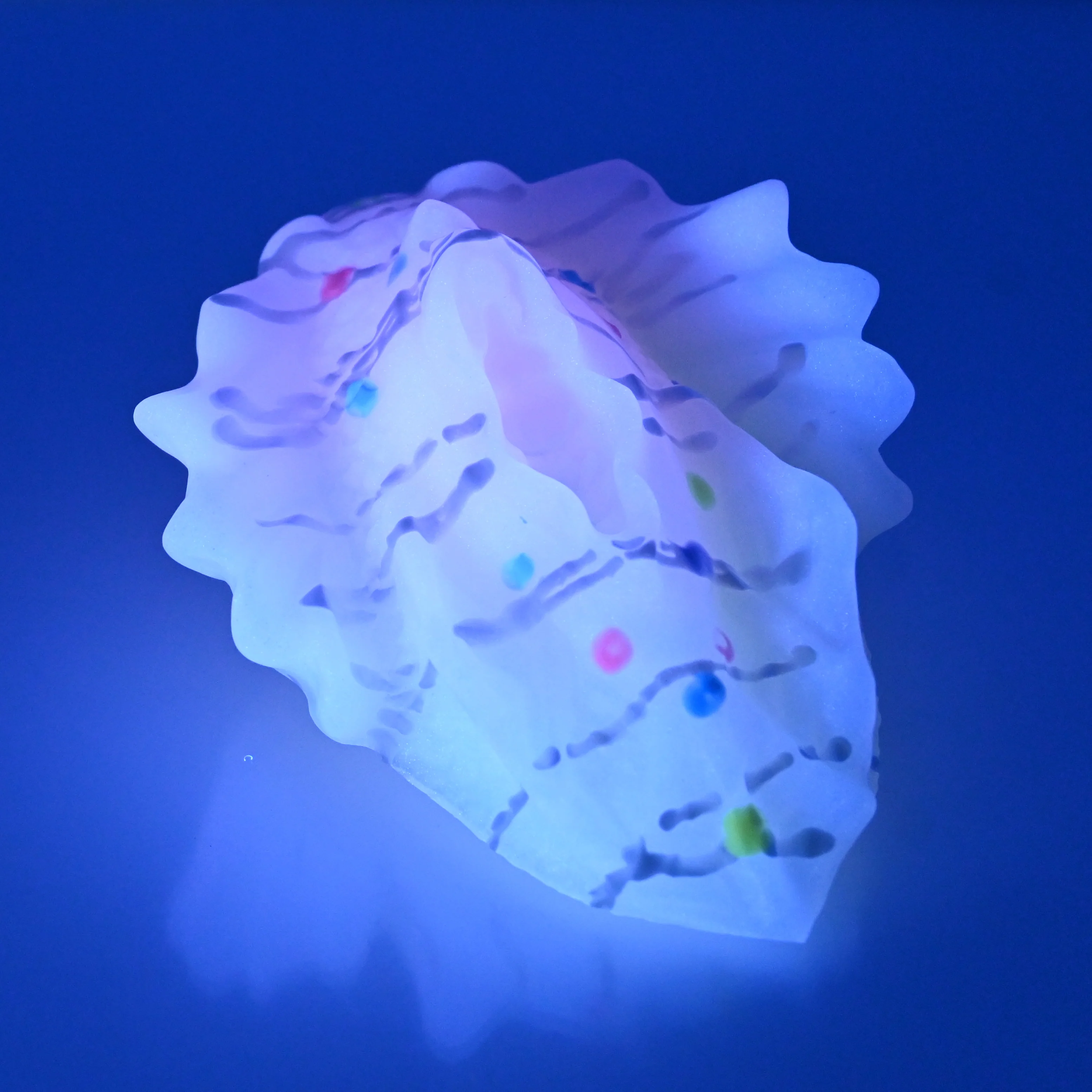 C2SDW31 Calypso Small 0030 UV GITD - Image 3