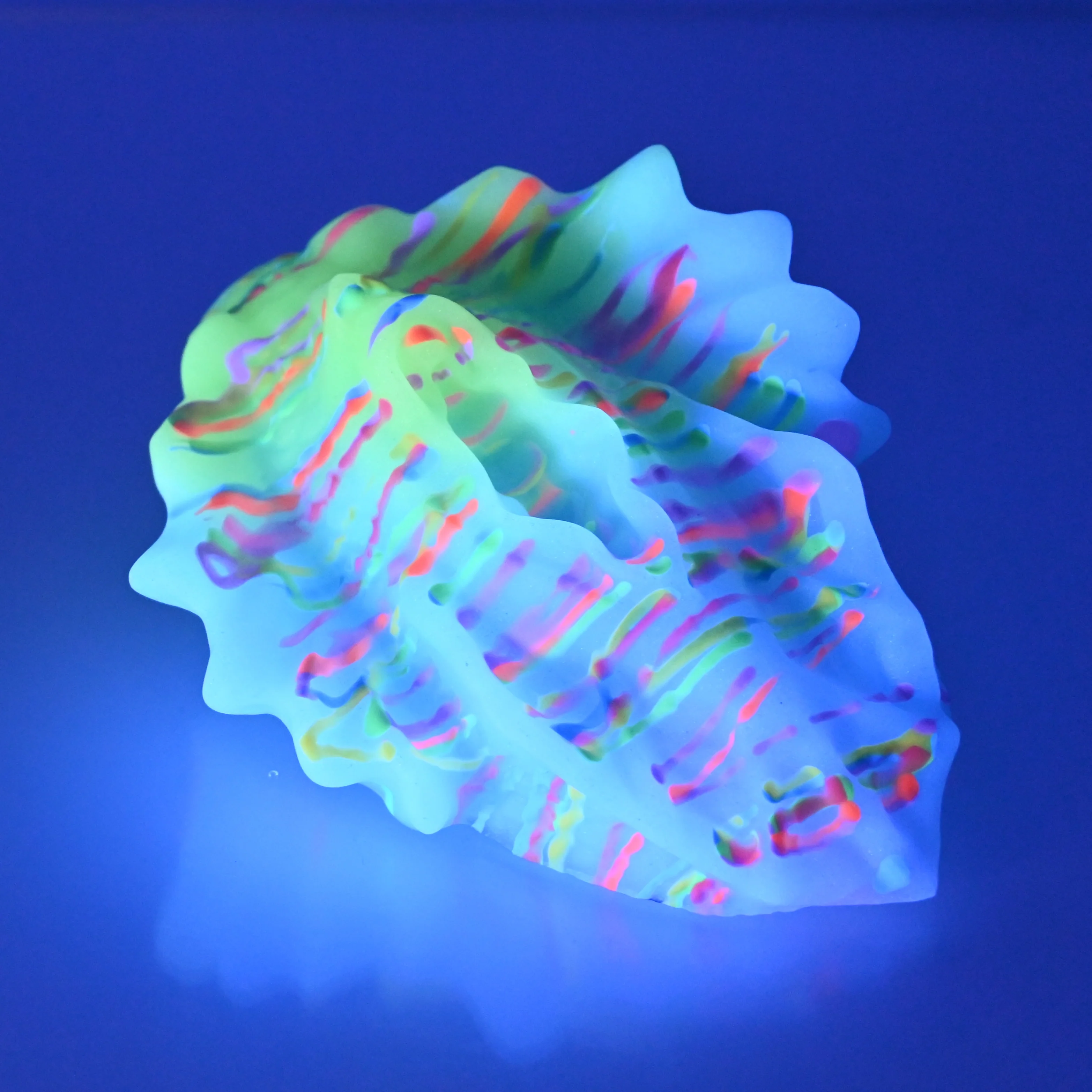 C2MDW35 Calypso Small 0050 UV GITD - Image 3