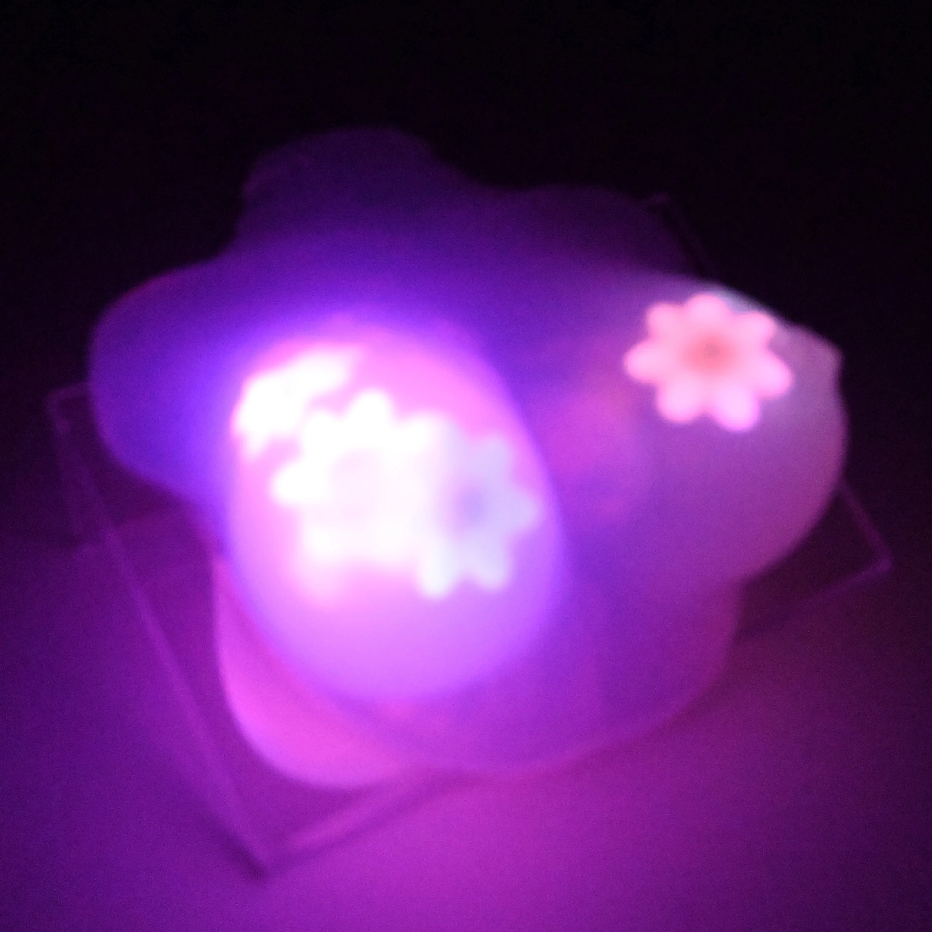 D2TGW35 Celeste Small NC 0031 UV GITD CS - Image 4