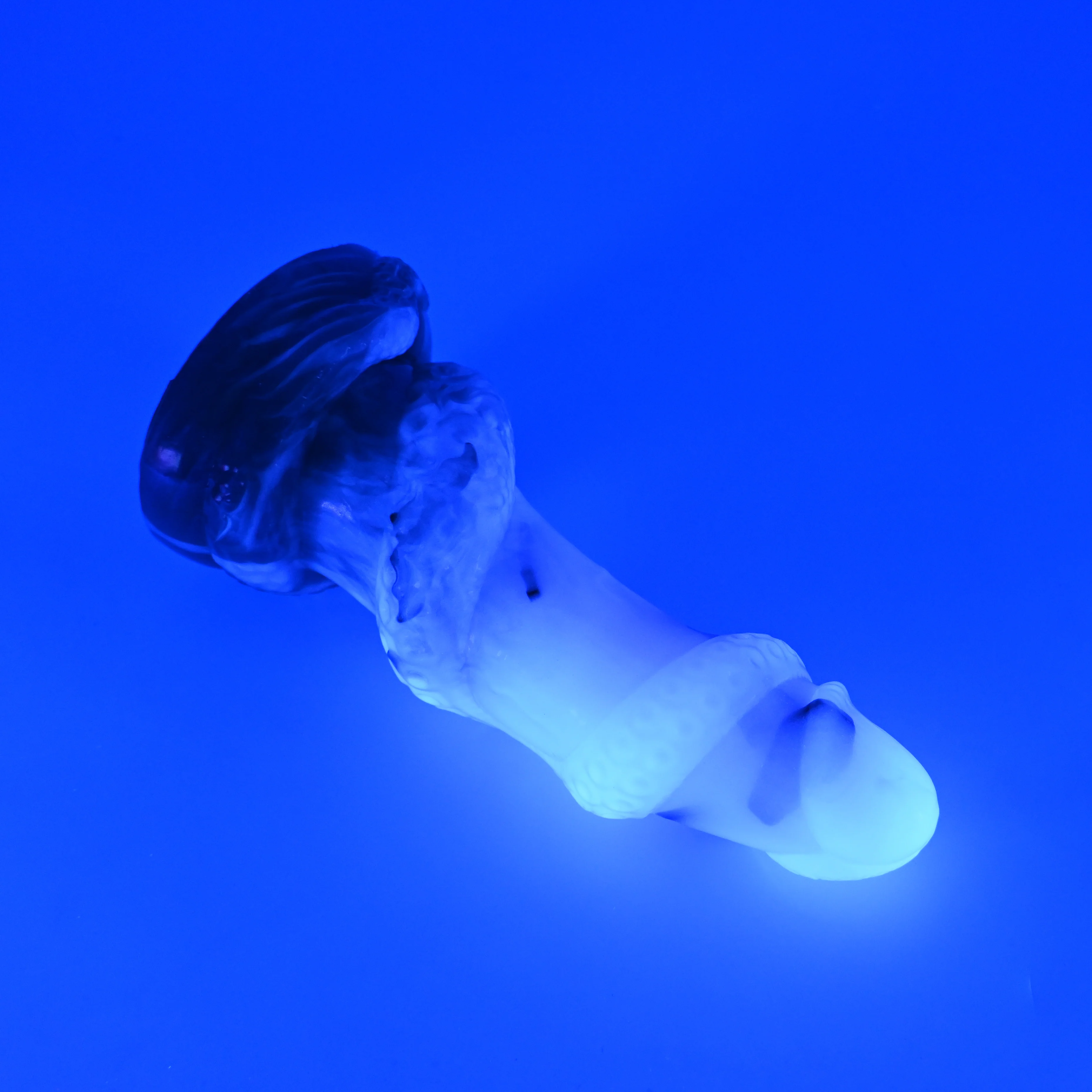 33THT05u Celia Medium NC 0031 UV CS GHU - Image 3