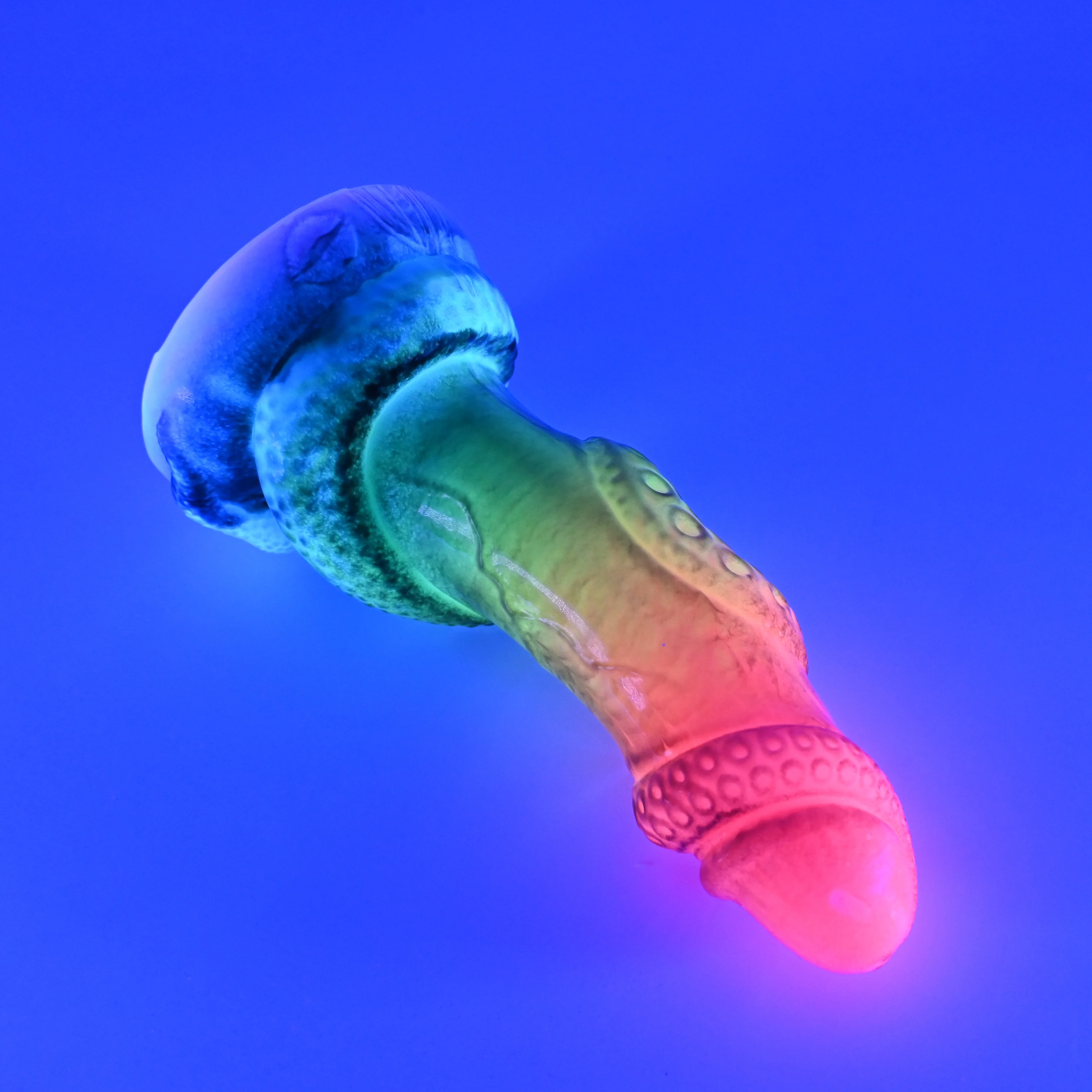 33SHL00u Celia Medium 0030 UV GITD GHU - Image 3