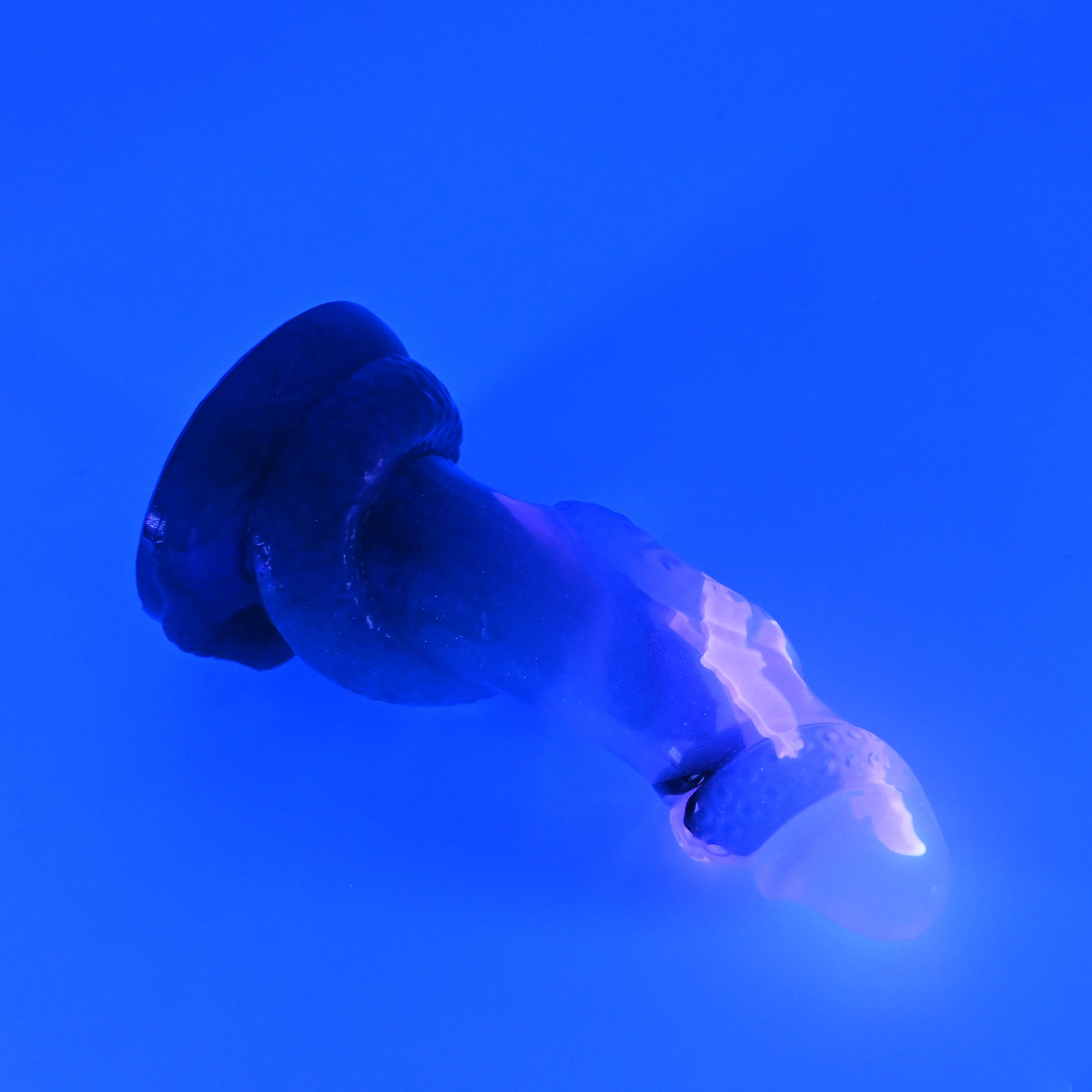32THN52 Celia Small NC 0031 UV CS - Image 3