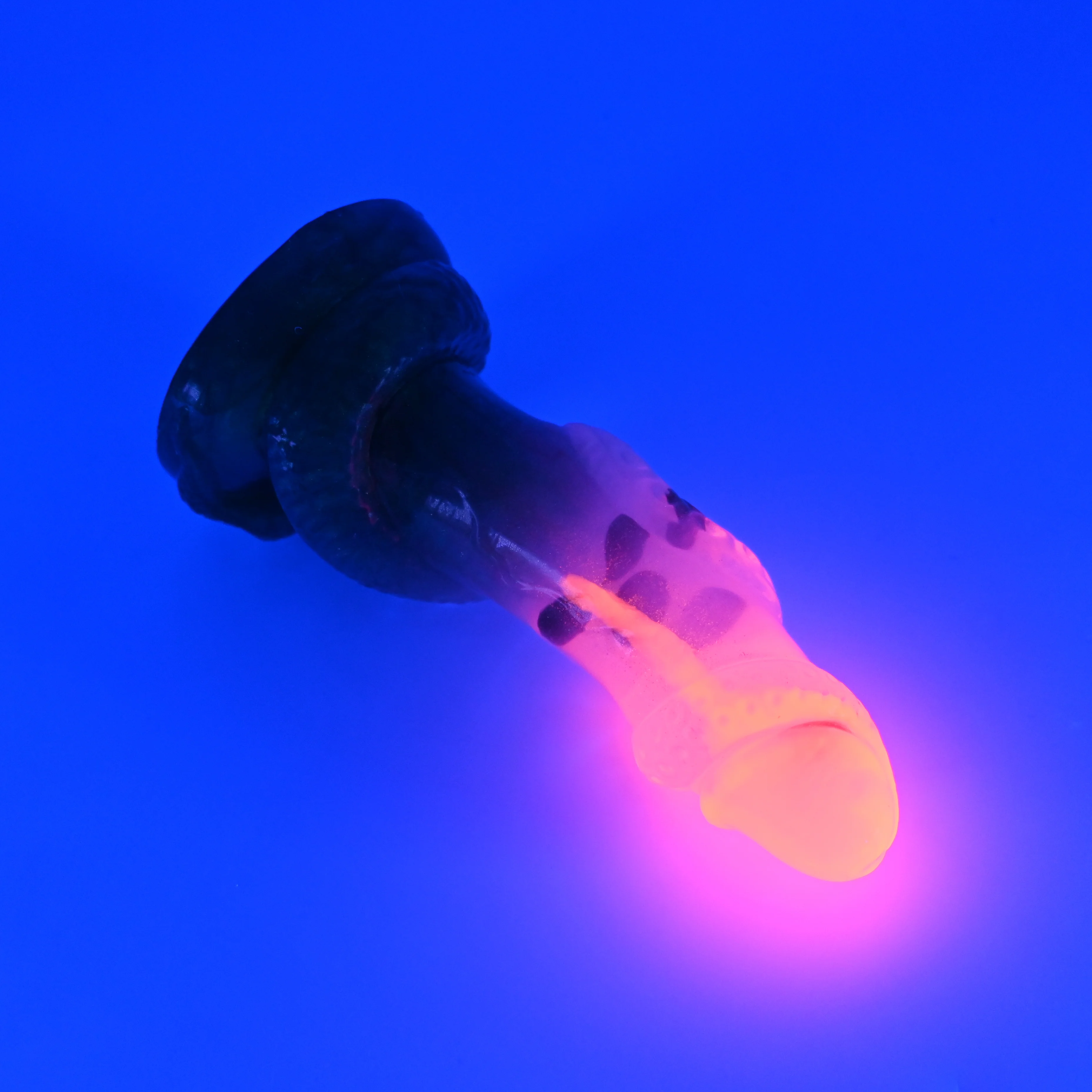 32THN53 Celia Small NC 0031 UV CS - Image 3