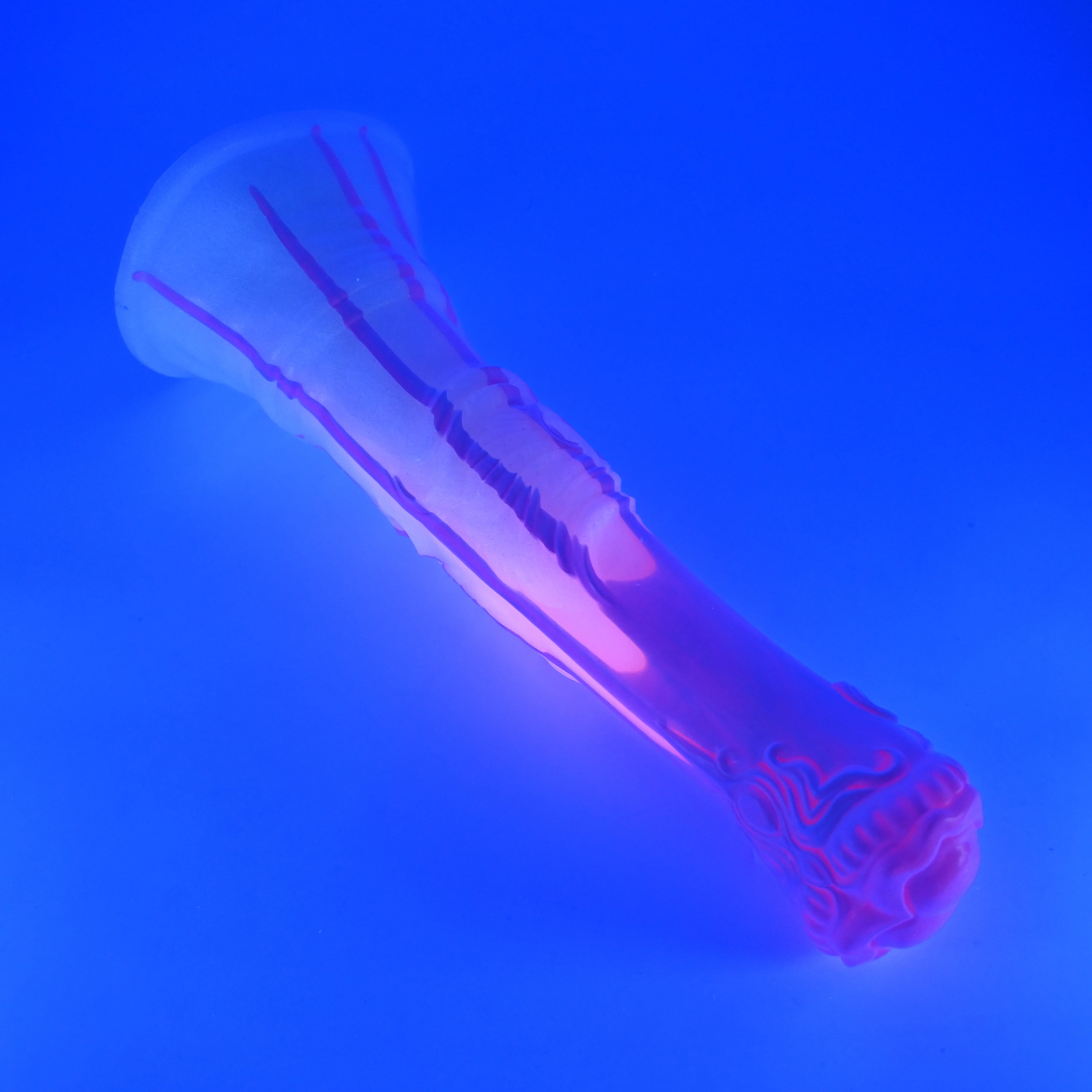 U4SHU16^ Cirrus Large 0030 UV GITD GHPA - Image 3