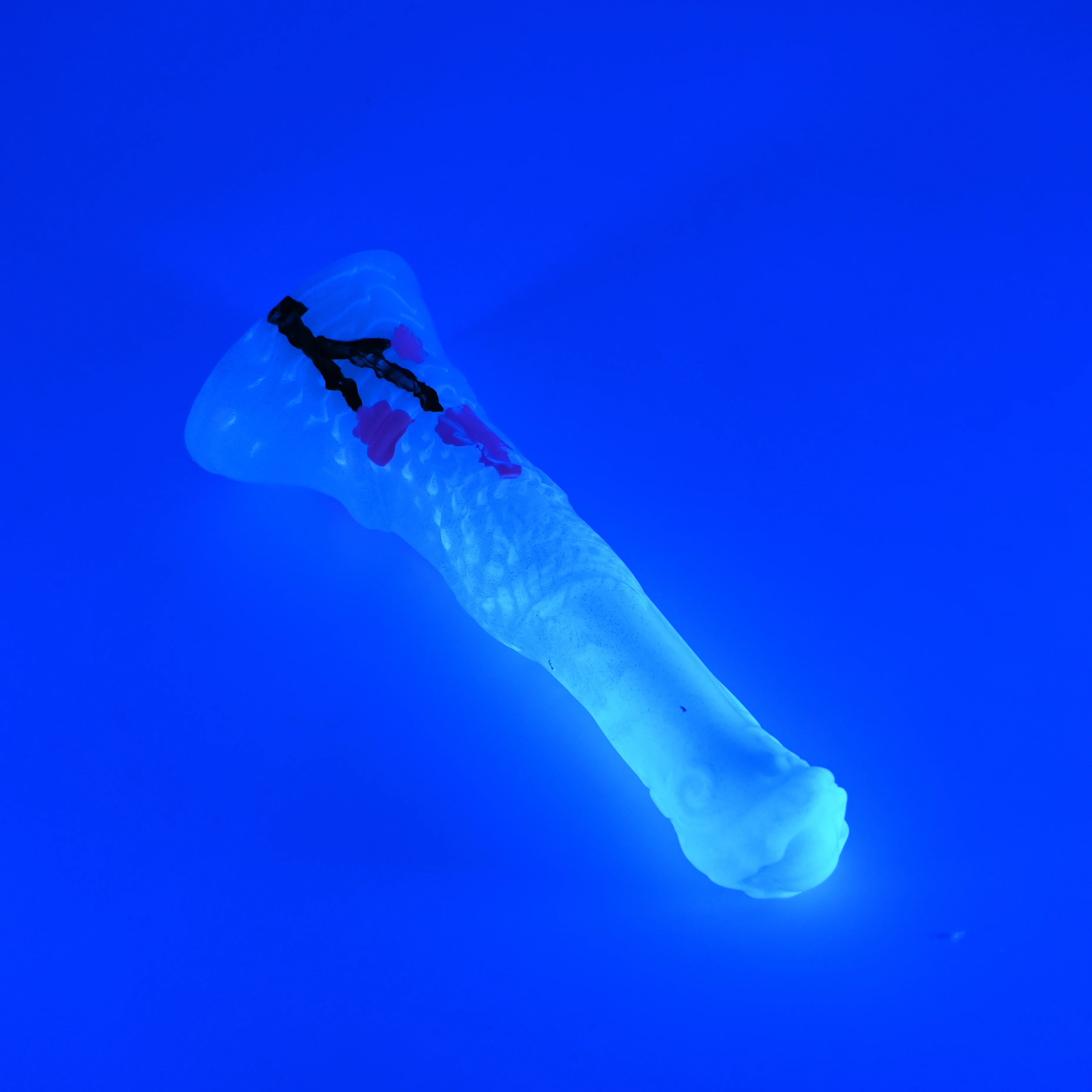 U2MHM00 Cirrus Small 0050 UV GITD - Image 3