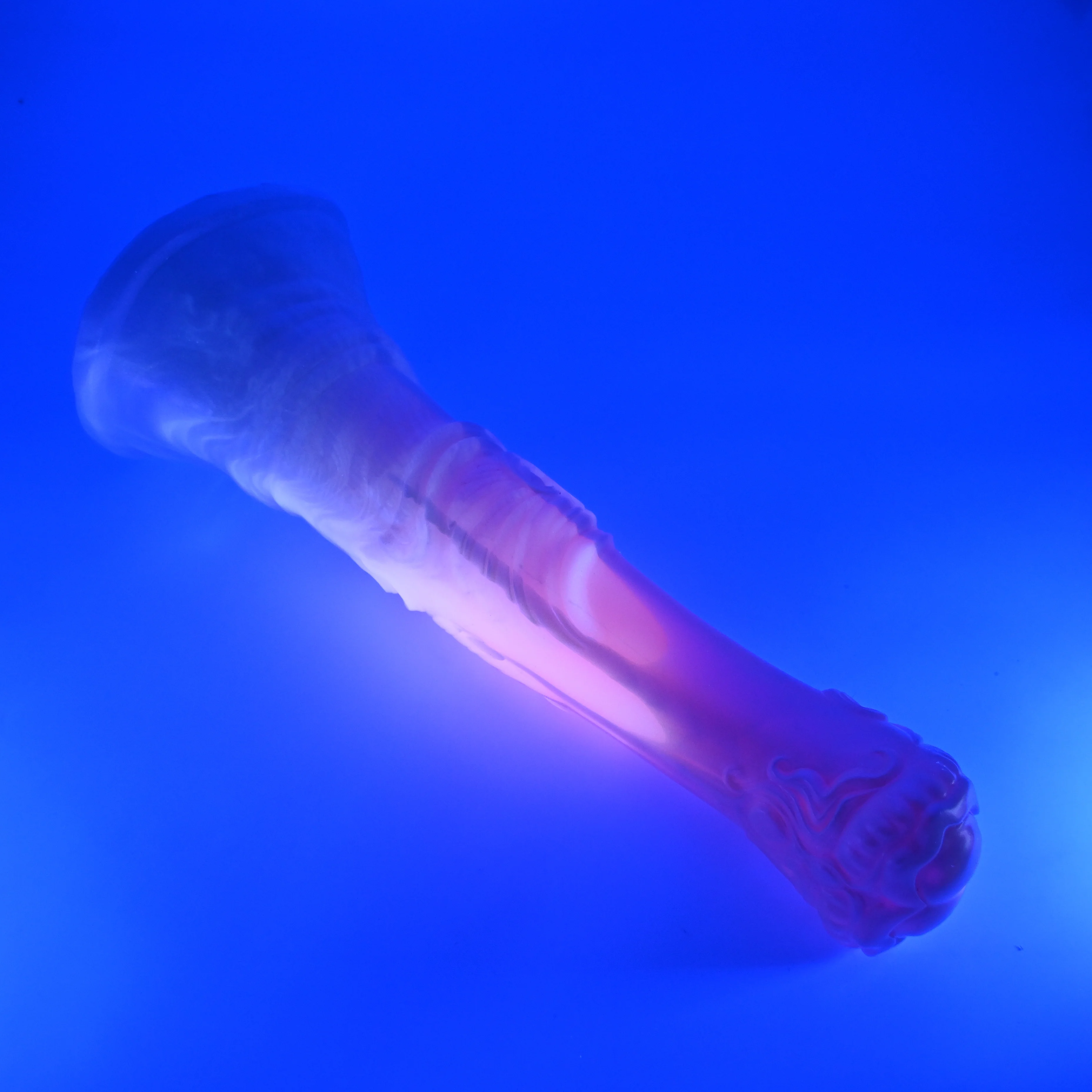 U5MHK03 Cirrus XL 0050 UV GITD - Image 3