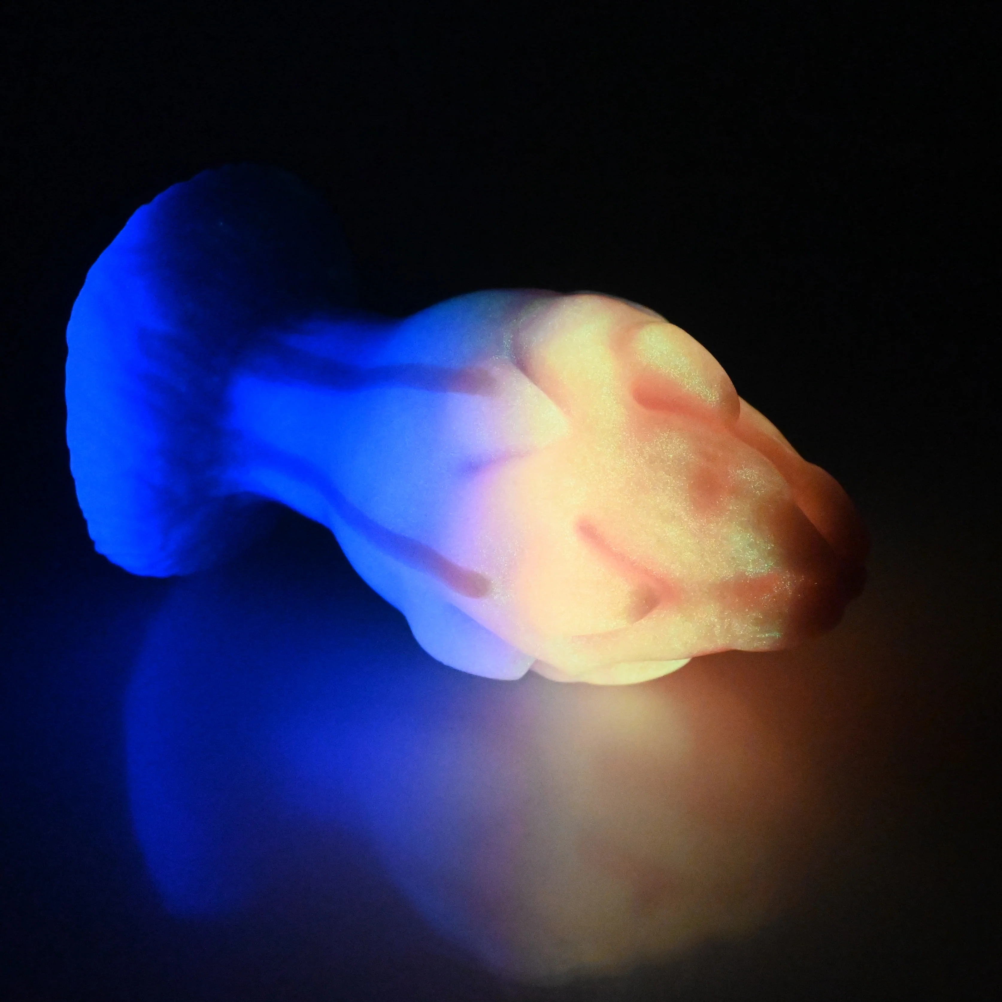 F4MCS45 Dragonfruit Plug Large 0050 UV GITD - Image 4