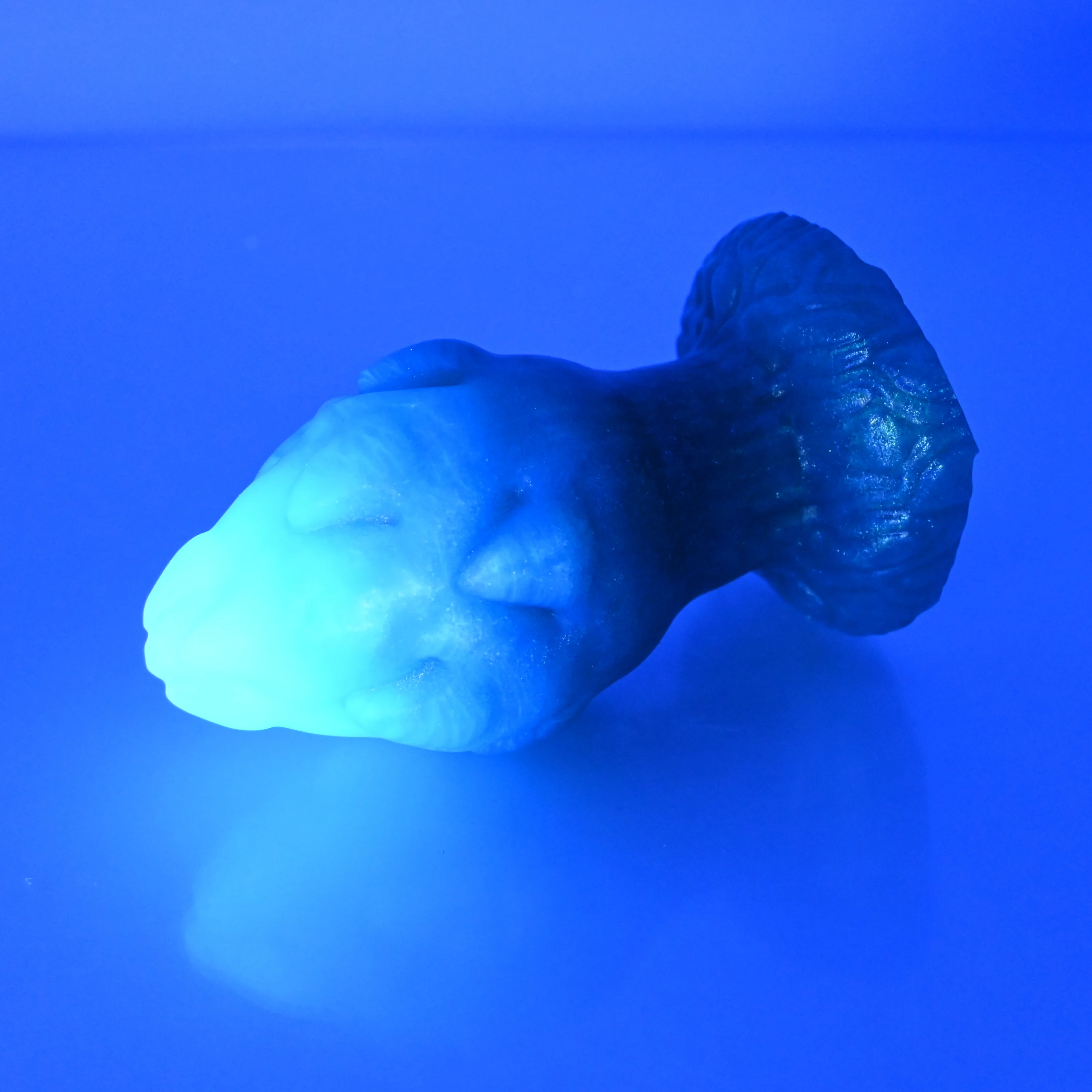 F3TCU83 Dragonfruit Plug Medium NC 0031 UV - Image 4