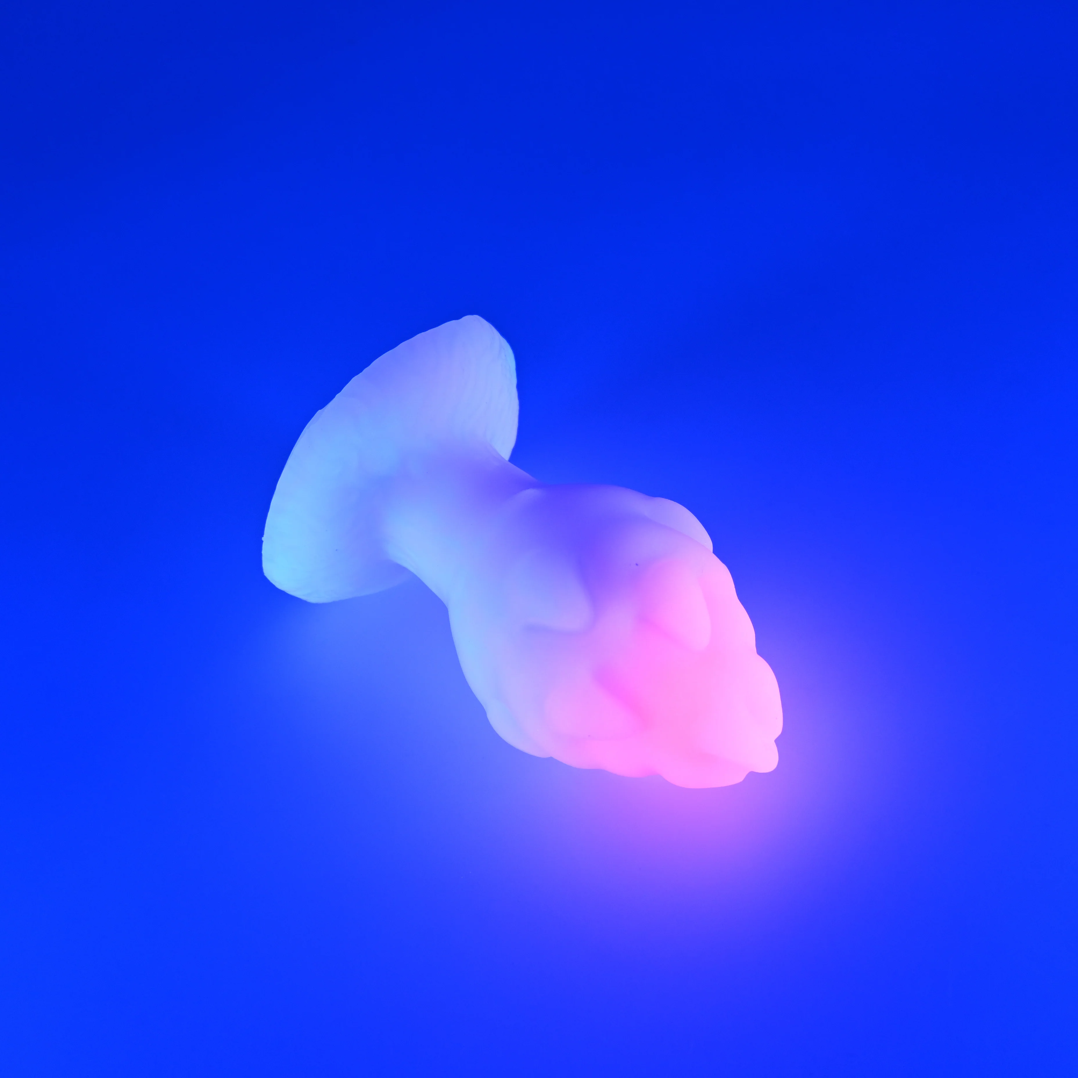 F3MHG92 Dragonfruit Plug Medium 0050 UV GITD - Image 3