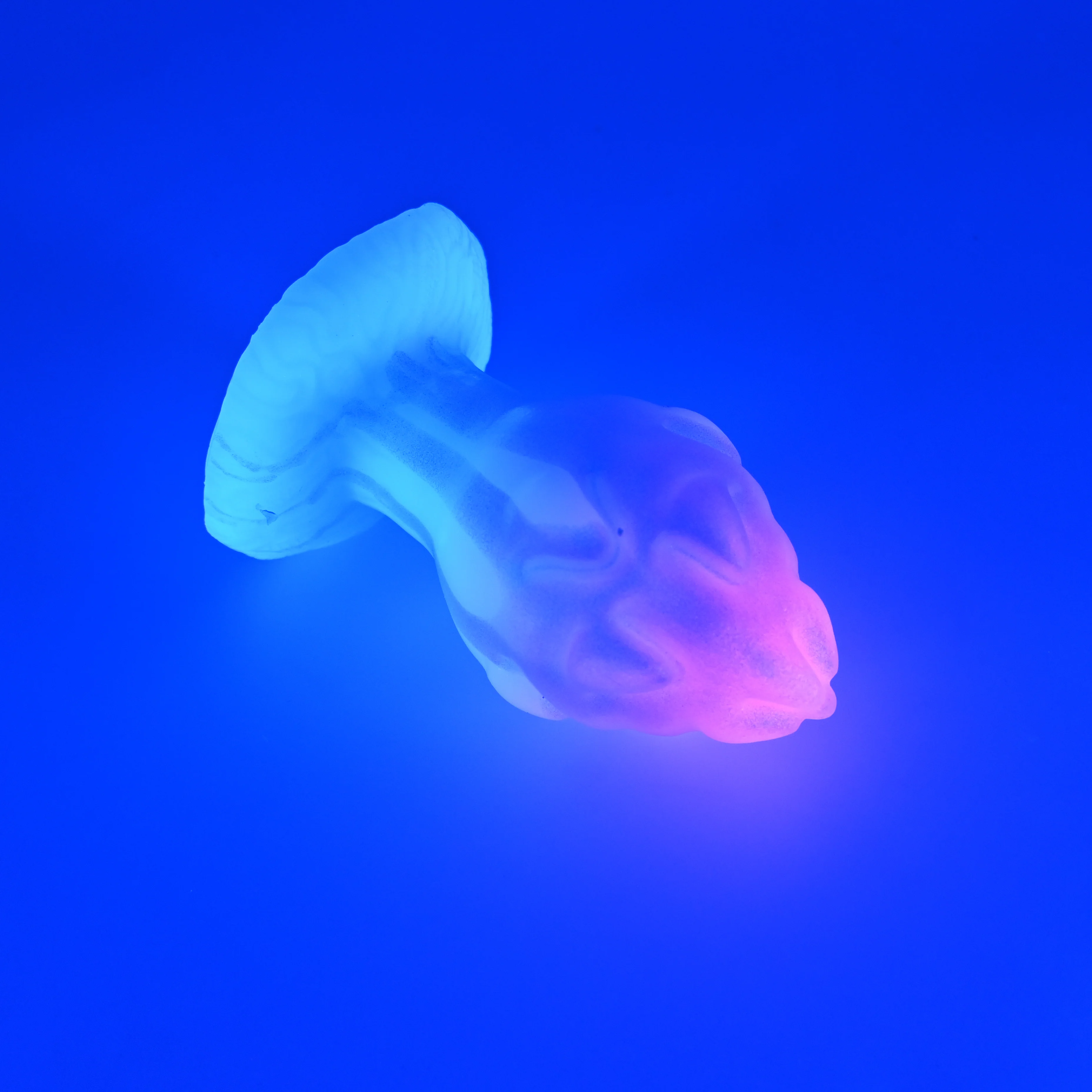 F3SHN79 Dragonfruit Plug Medium 0030 UV GITD CS - Image 3