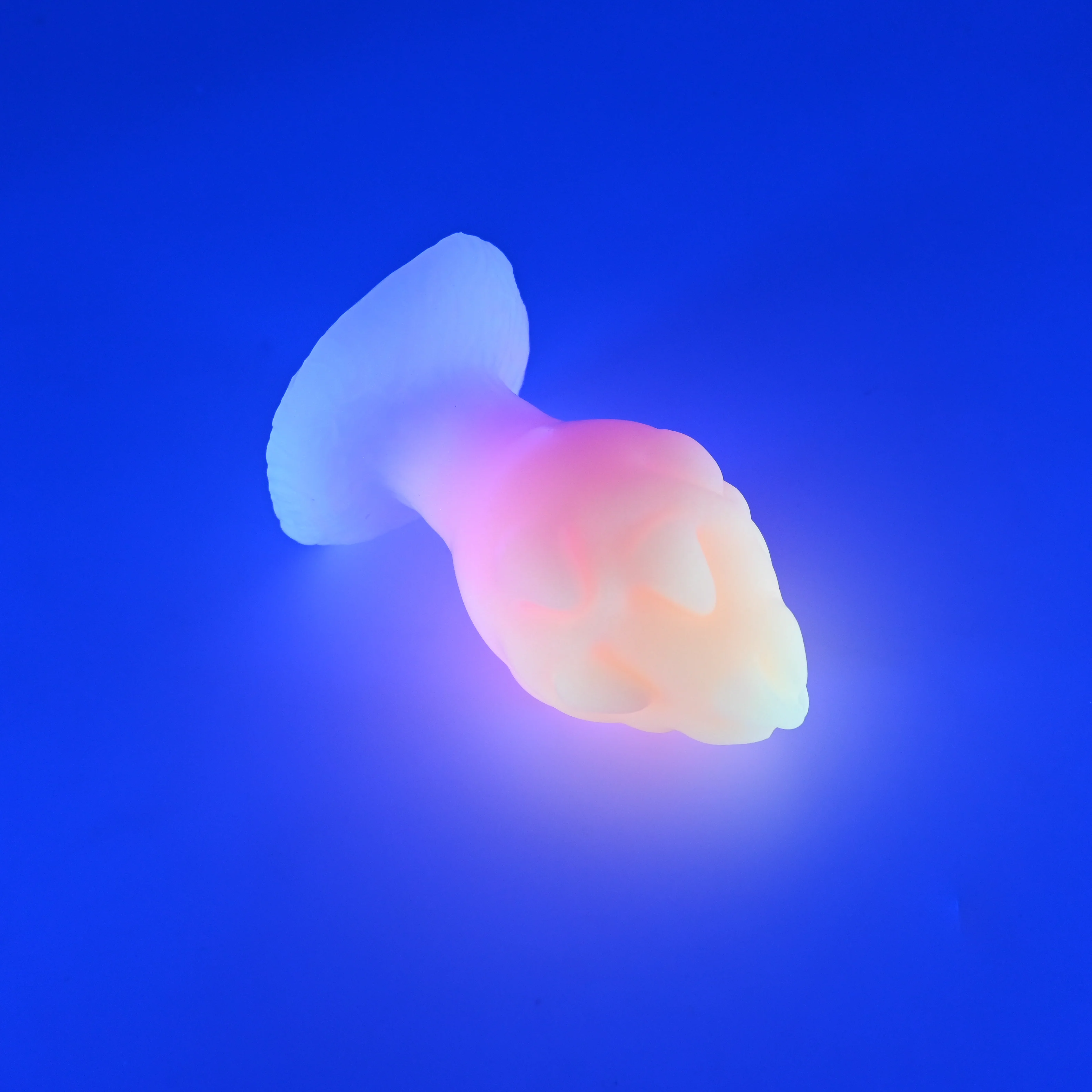 F3SJT57 Dragonfruit Plug Medium 0030 UV GITD - Image 3