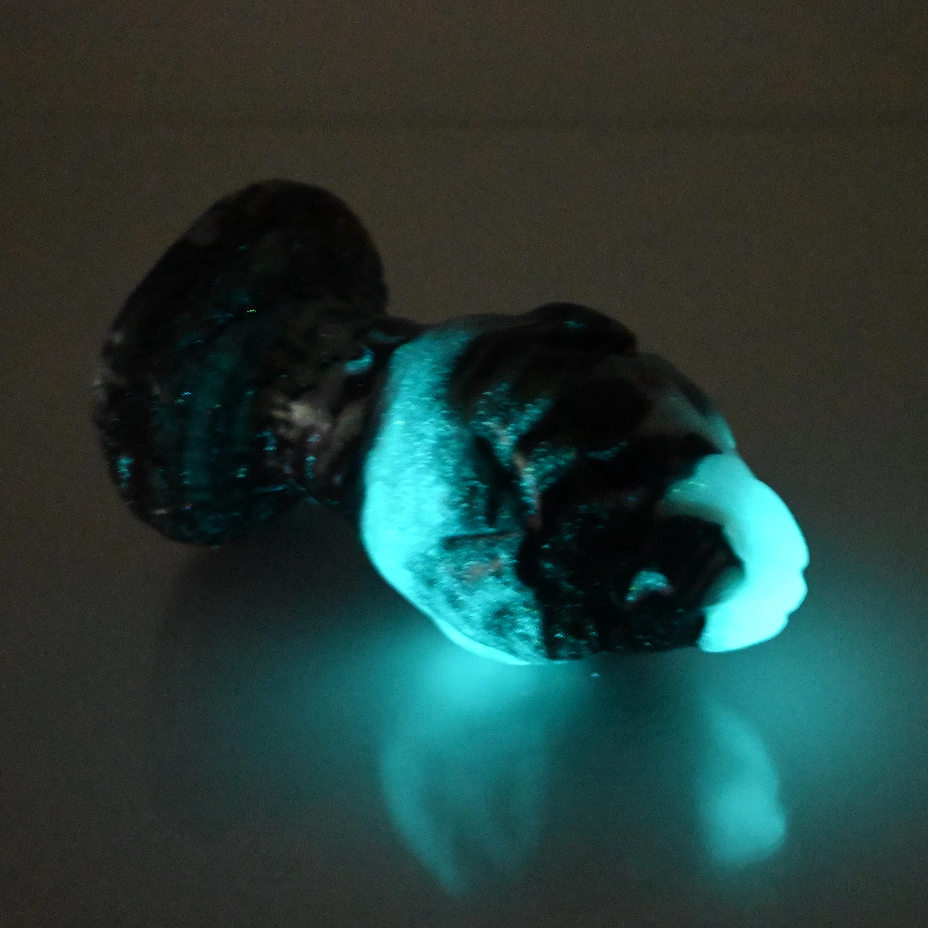 F3MDK98 Dragonfruit Plug Medium 0050 UV GITD CS - Image 4