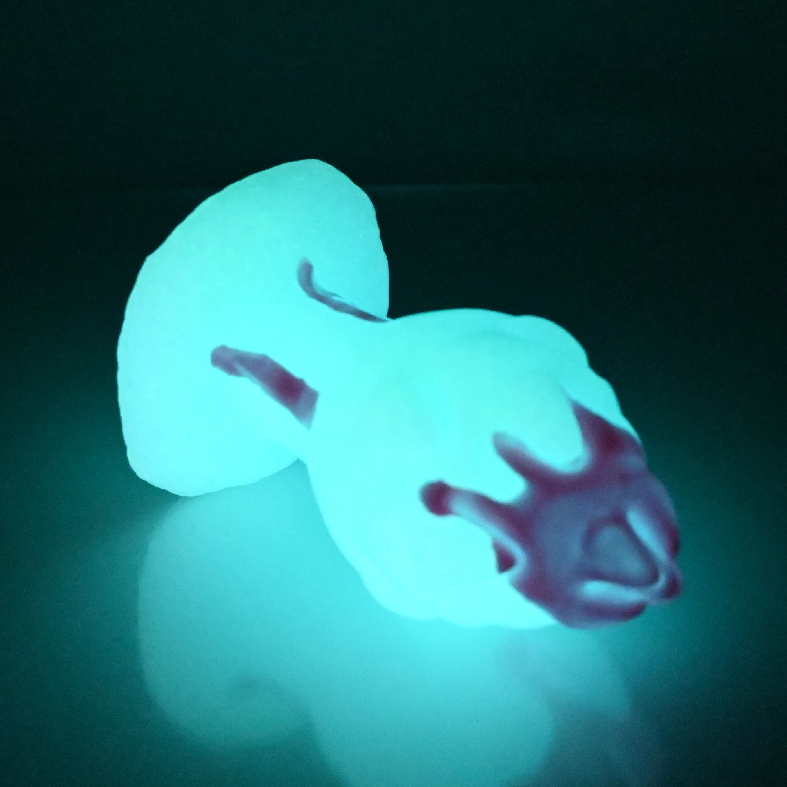 F3MDU89 Dragonfruit Plug Medium 0050 UV GITD - Image 4