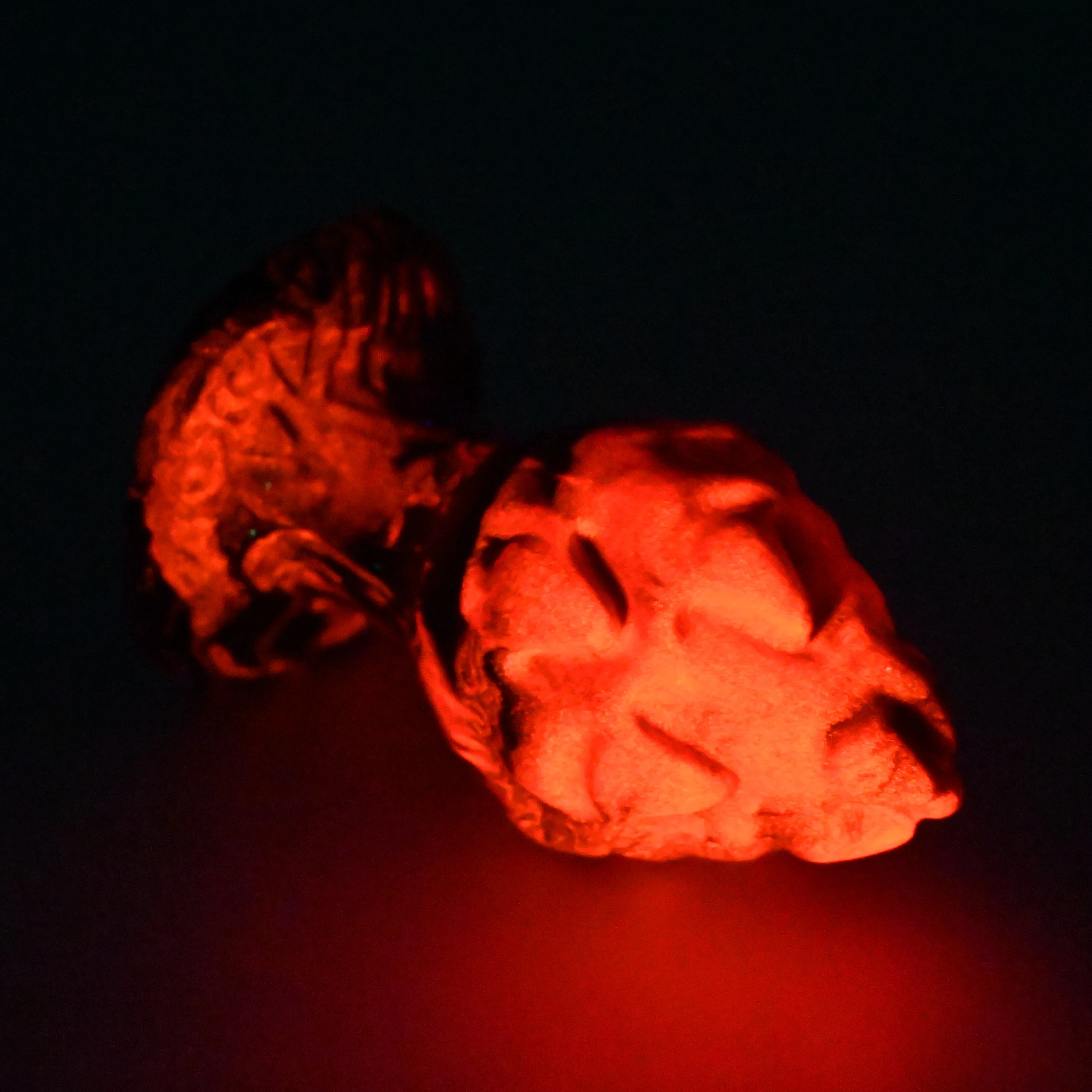 F1MGR40 Dragonfruit Plug Mini 0050 UV GITD - Image 3