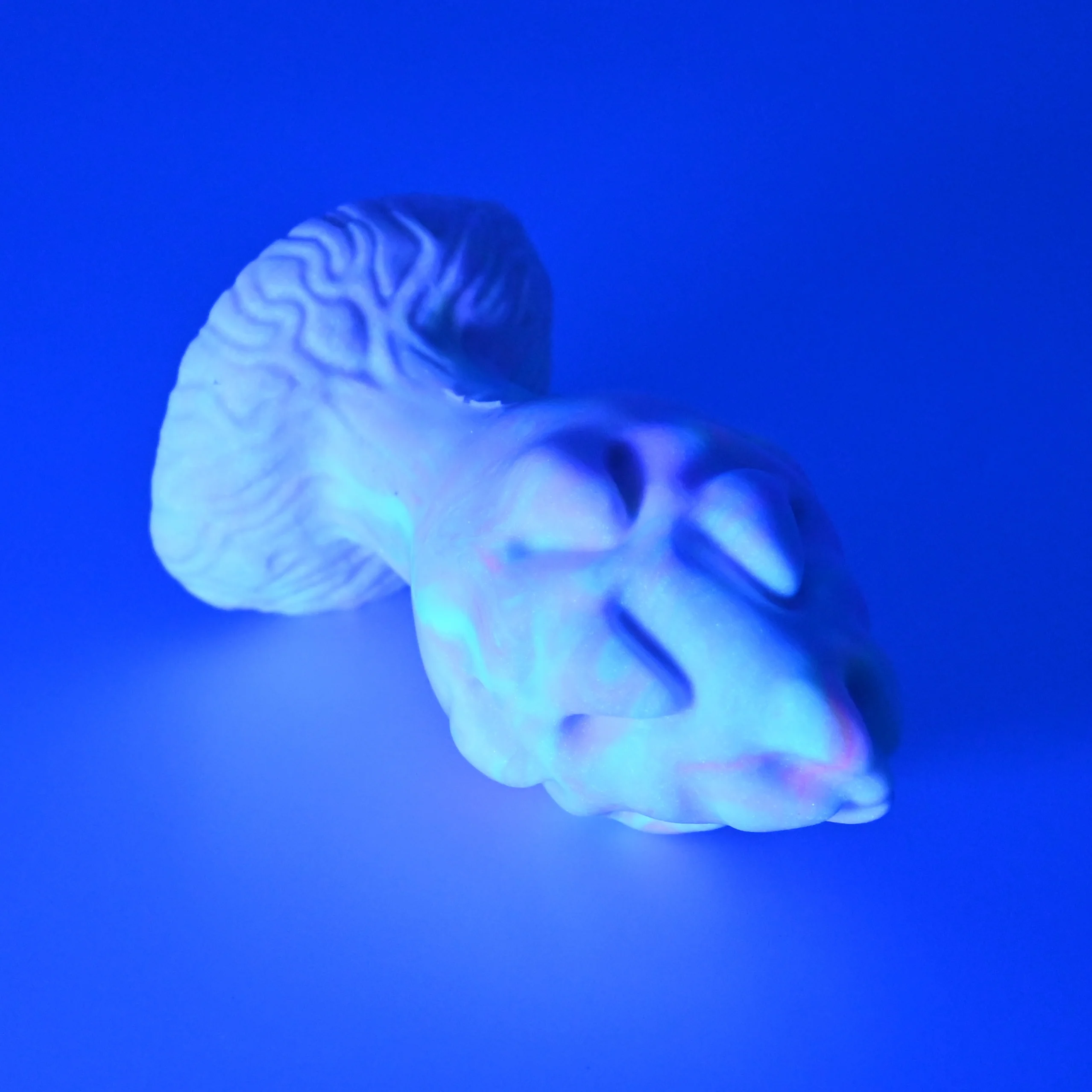 F1SGV01 Dragonfruit Plug Mini 0030 UV GITD *FLOP* - Image 3