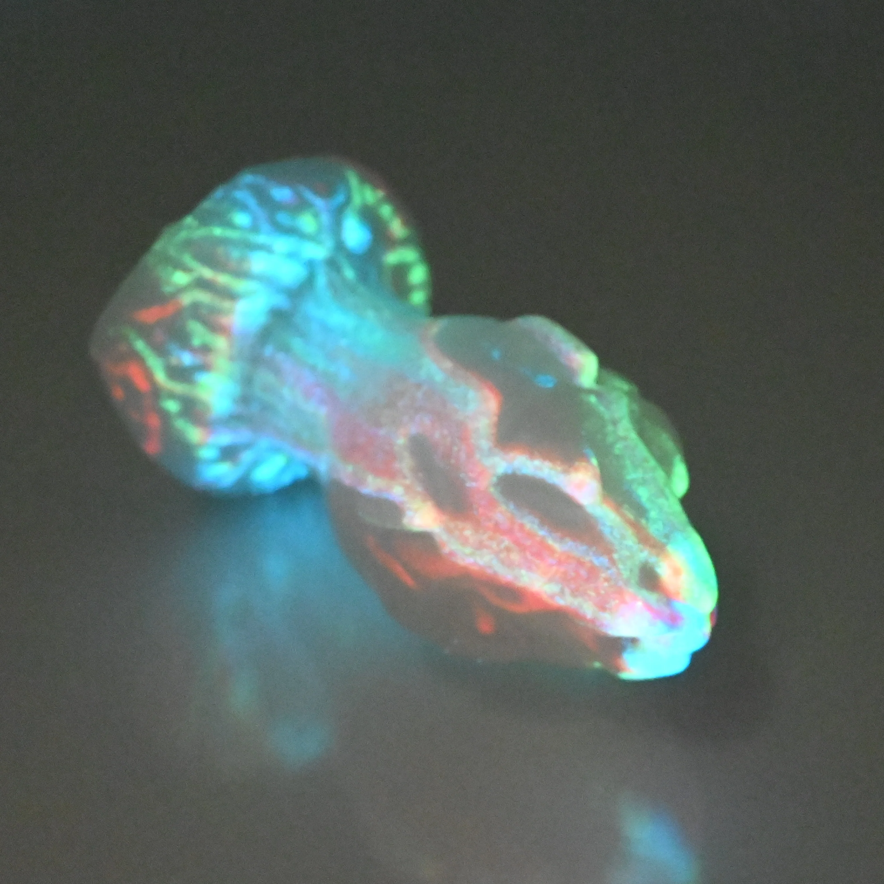 F1SBP53 Dragonfruit Plug Mini 0030 UV GITD - Image 3