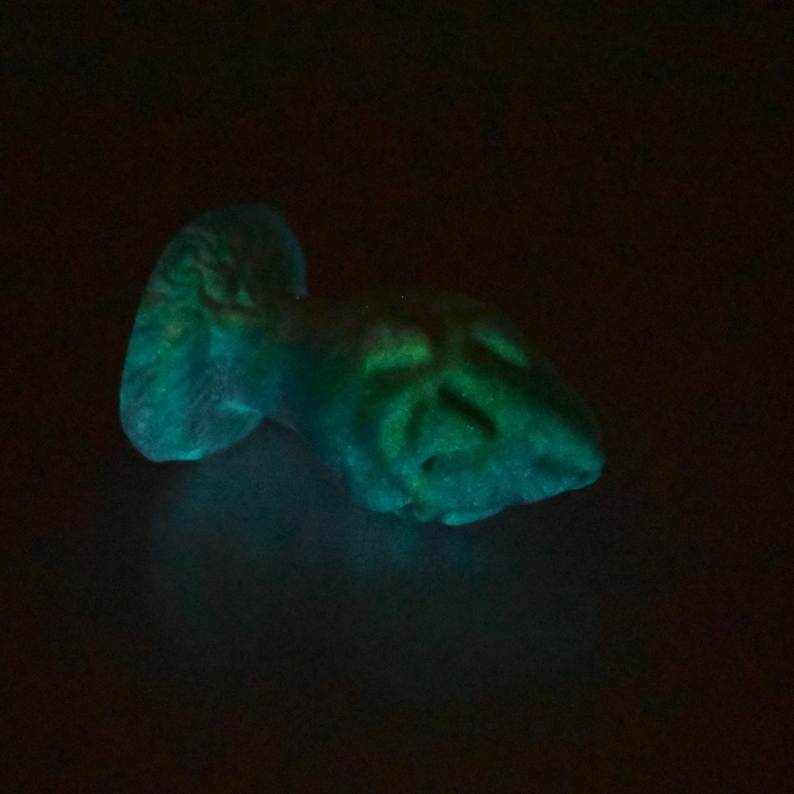 F1SCK35 Dragonfruit Plug Mini 0030 UV GITD - Image 4