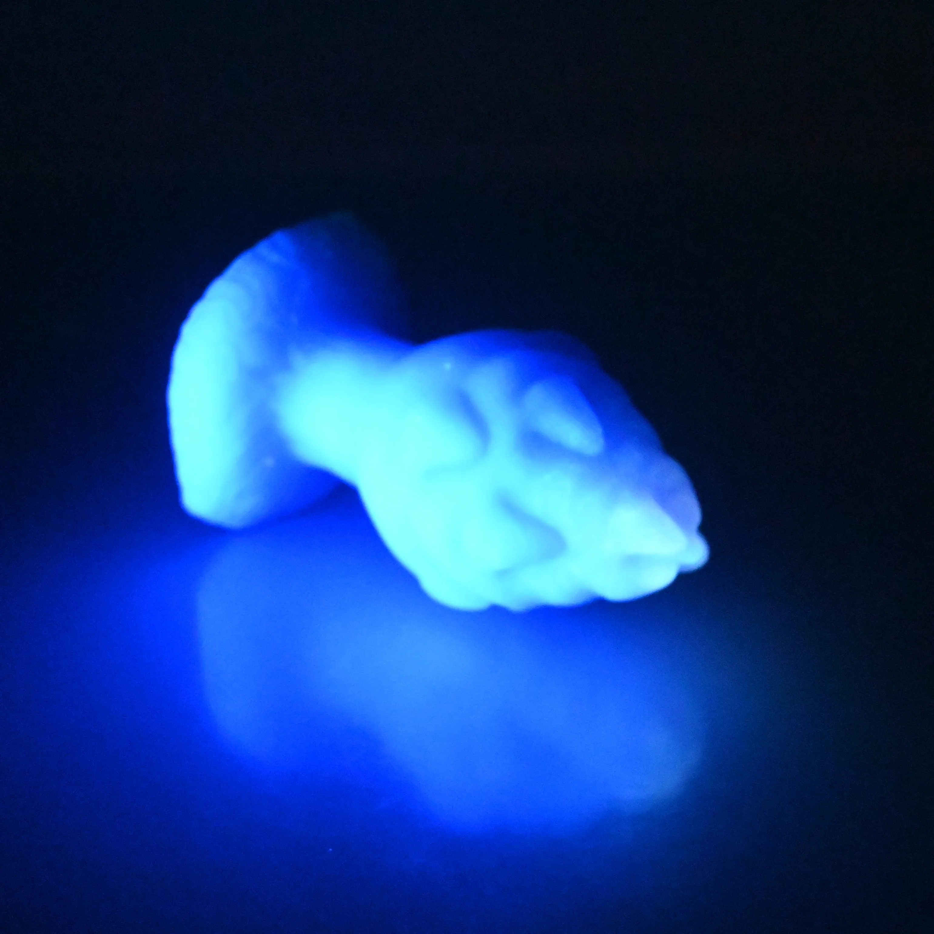 F1MCS48 Dragonfruit Plug Mini 0050 UV GITD - Image 4