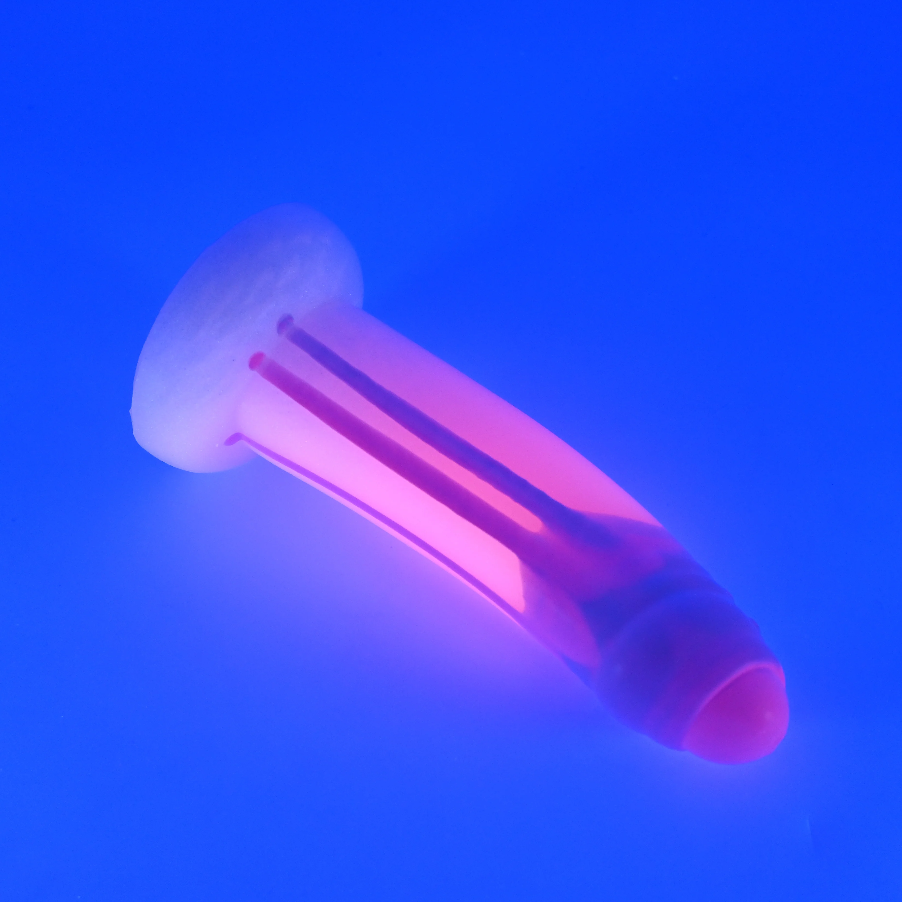 M3SHT76^ Ferrus Medium 0050 UV GITD GHPA - Image 3