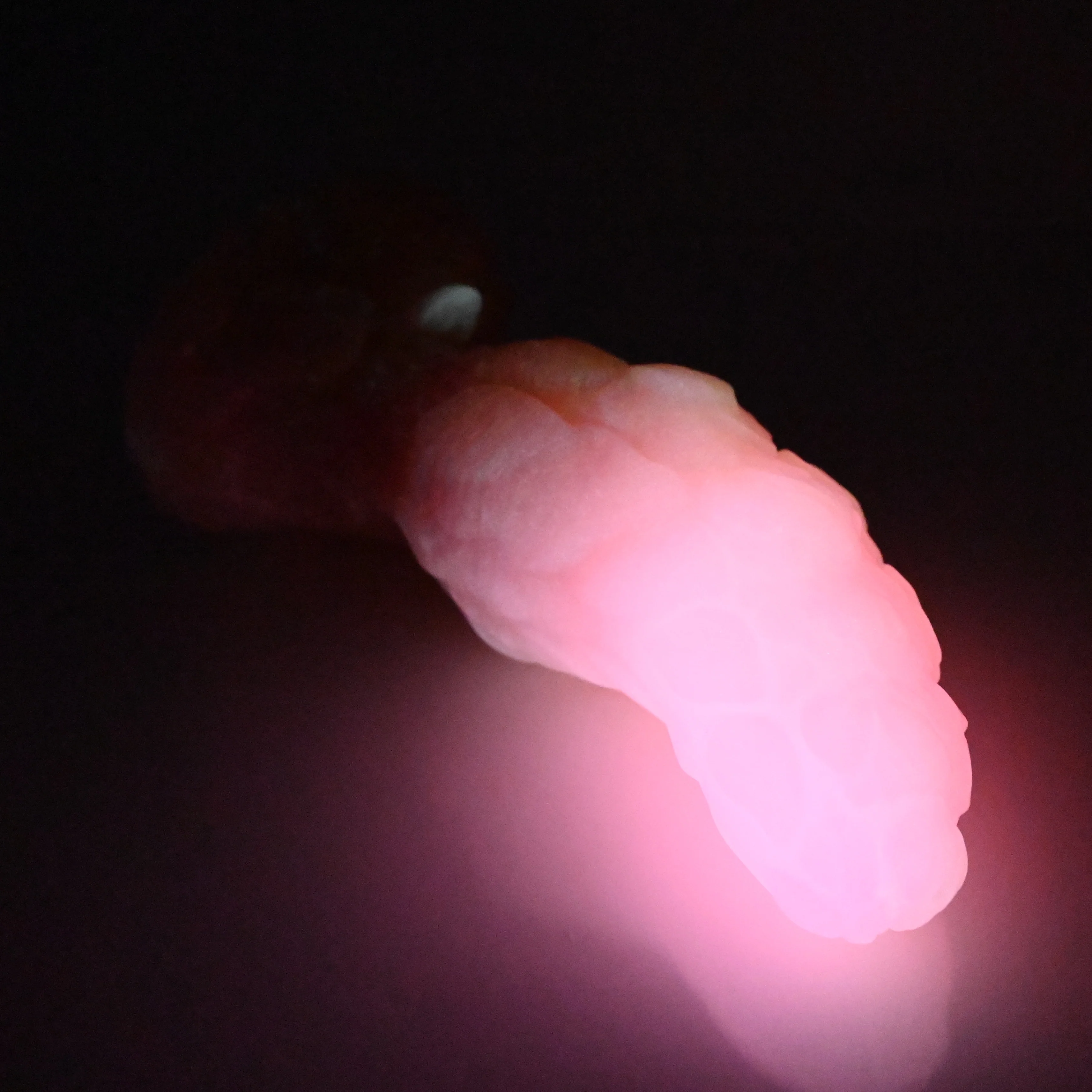 B3MEM94 Flora Medium 0050 UV GITD - Image 4