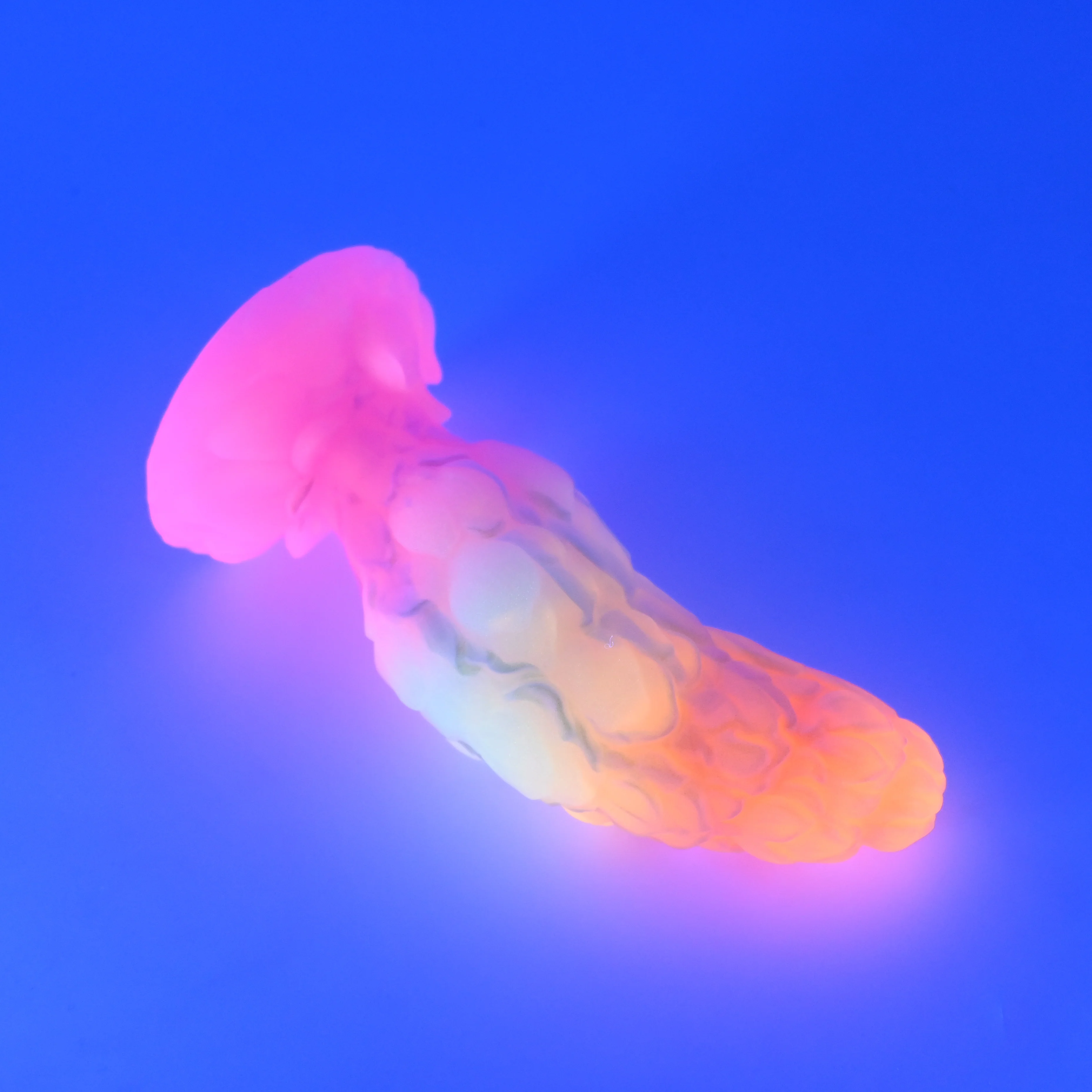B3SJX25 Flora Medium 0030 UV GITD CS - Image 3