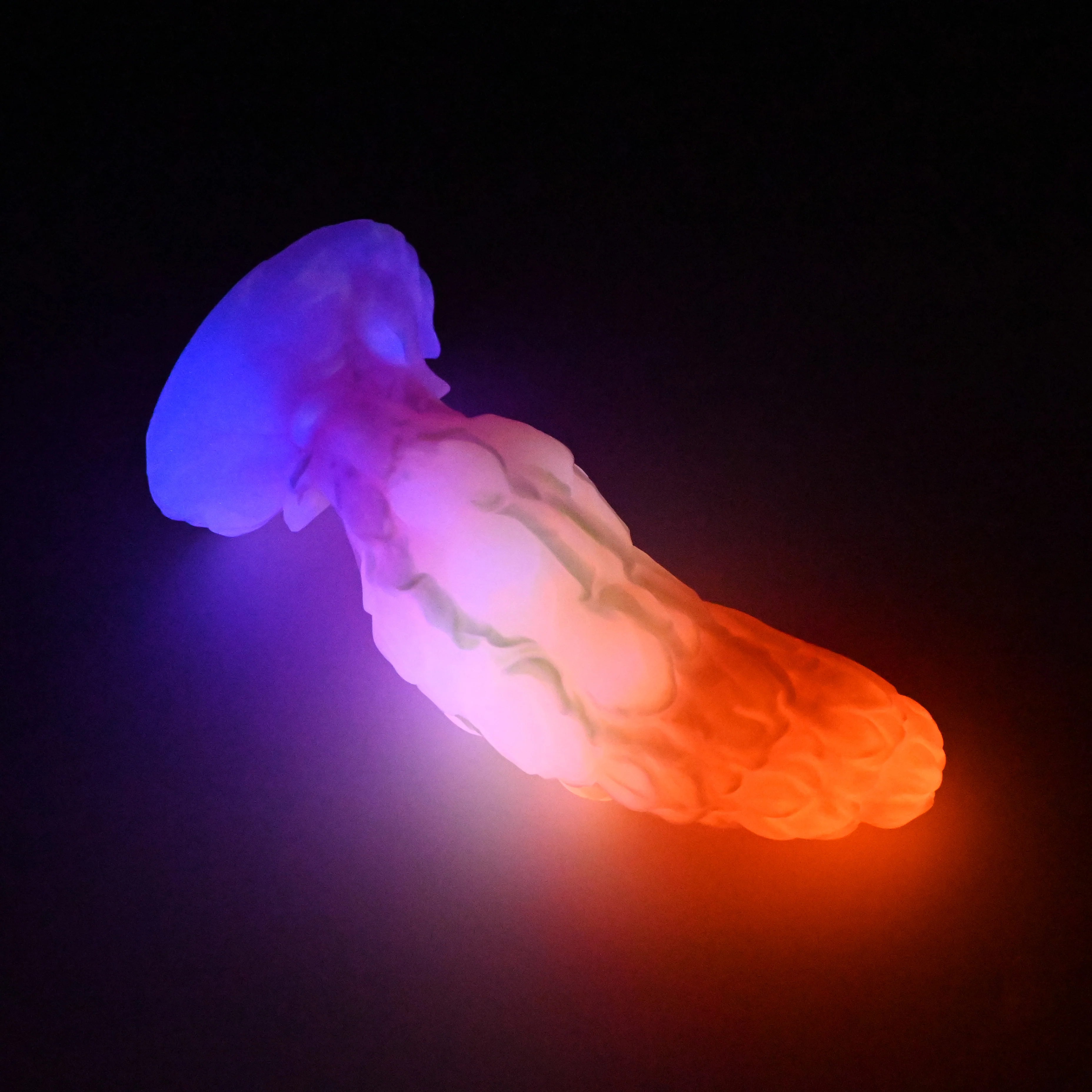 B3SJX25 Flora Medium 0030 UV GITD CS - Image 4