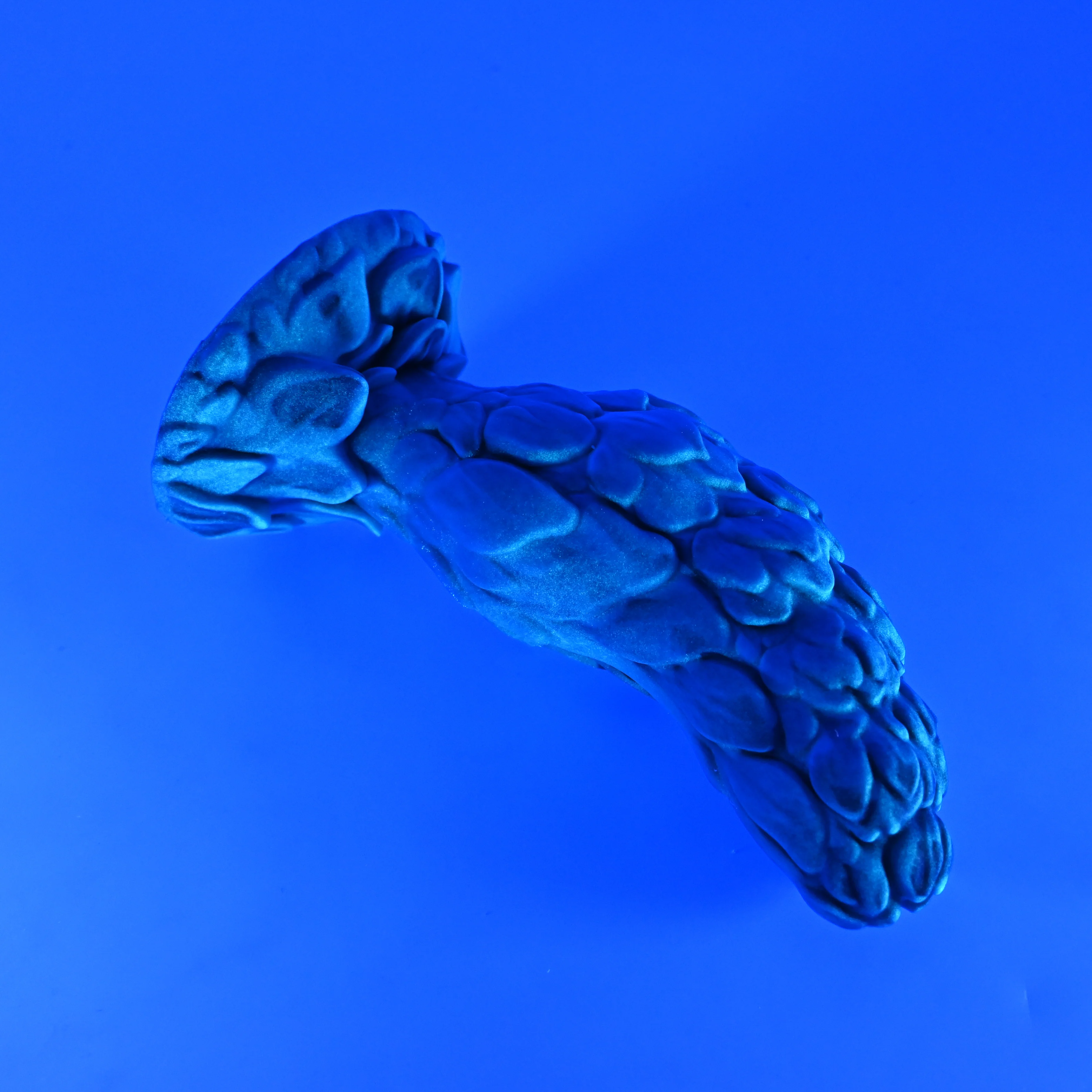 B3SJZ31 Flora Medium 0030 UV GITD - Image 3