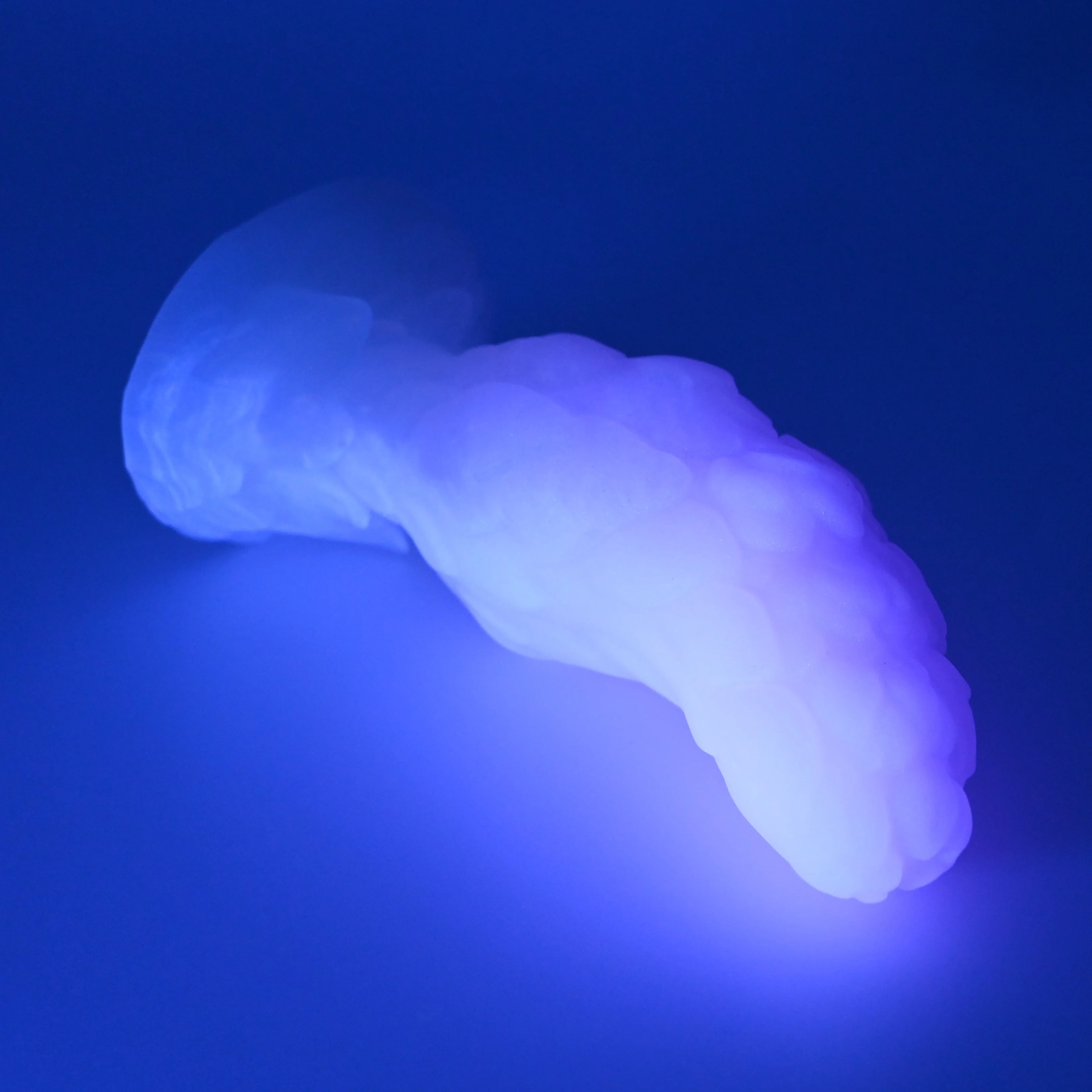 B1SFV74 Flora Mini 0030 UV GITD - Image 3