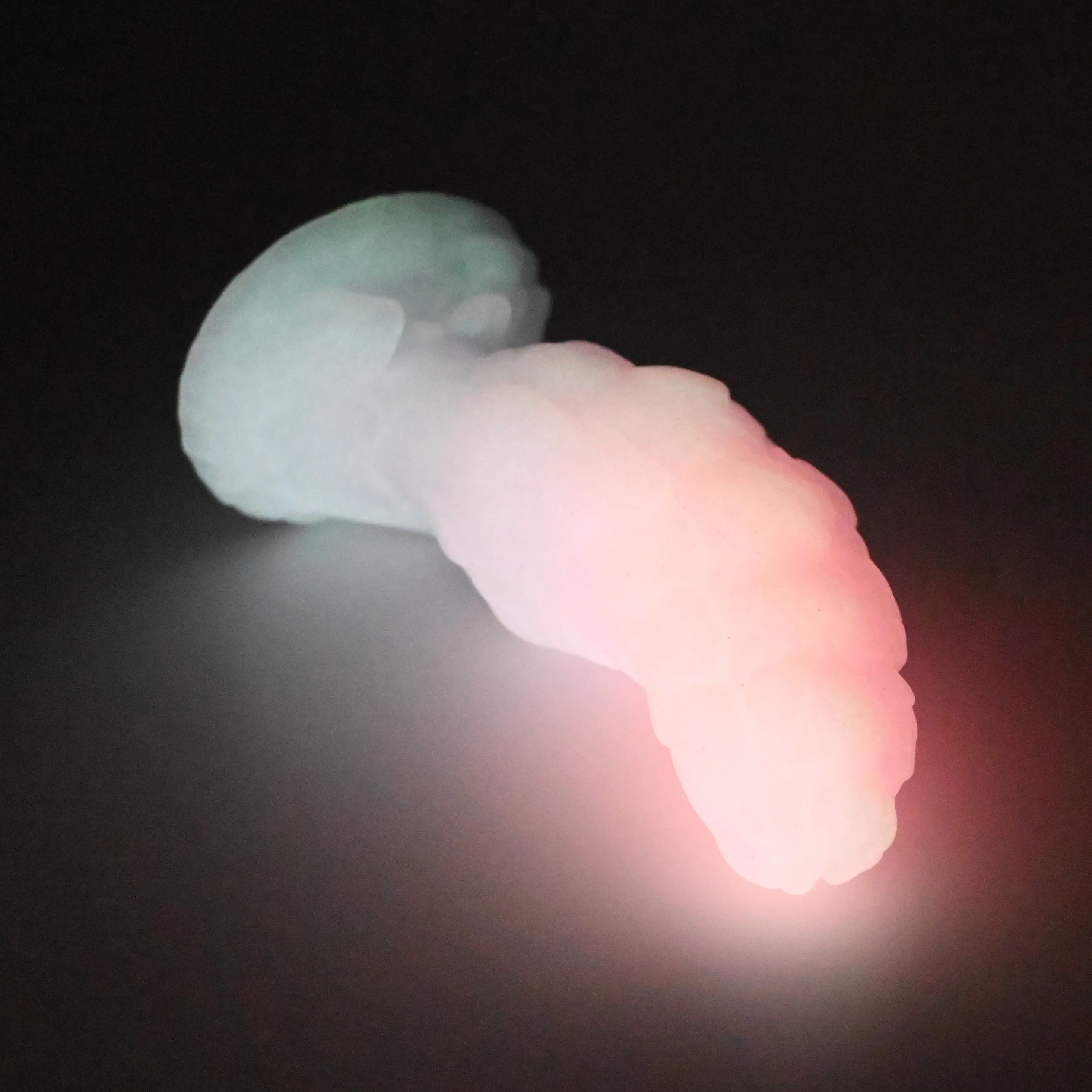 B1SGC51 Flora Mini 0030 UV GITD - Image 4