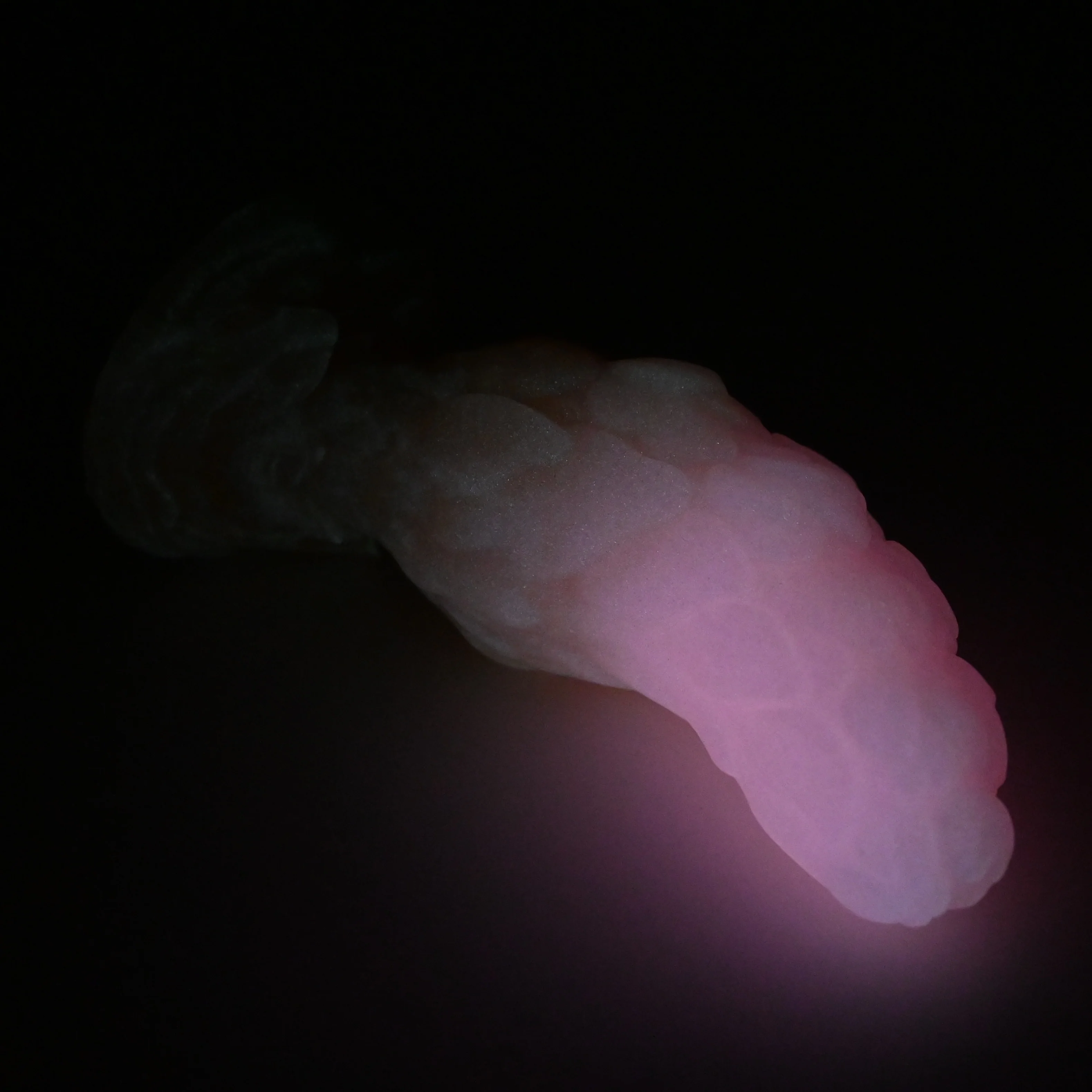 B1SGK40 Flora Mini 0030 UV GITD - Image 4