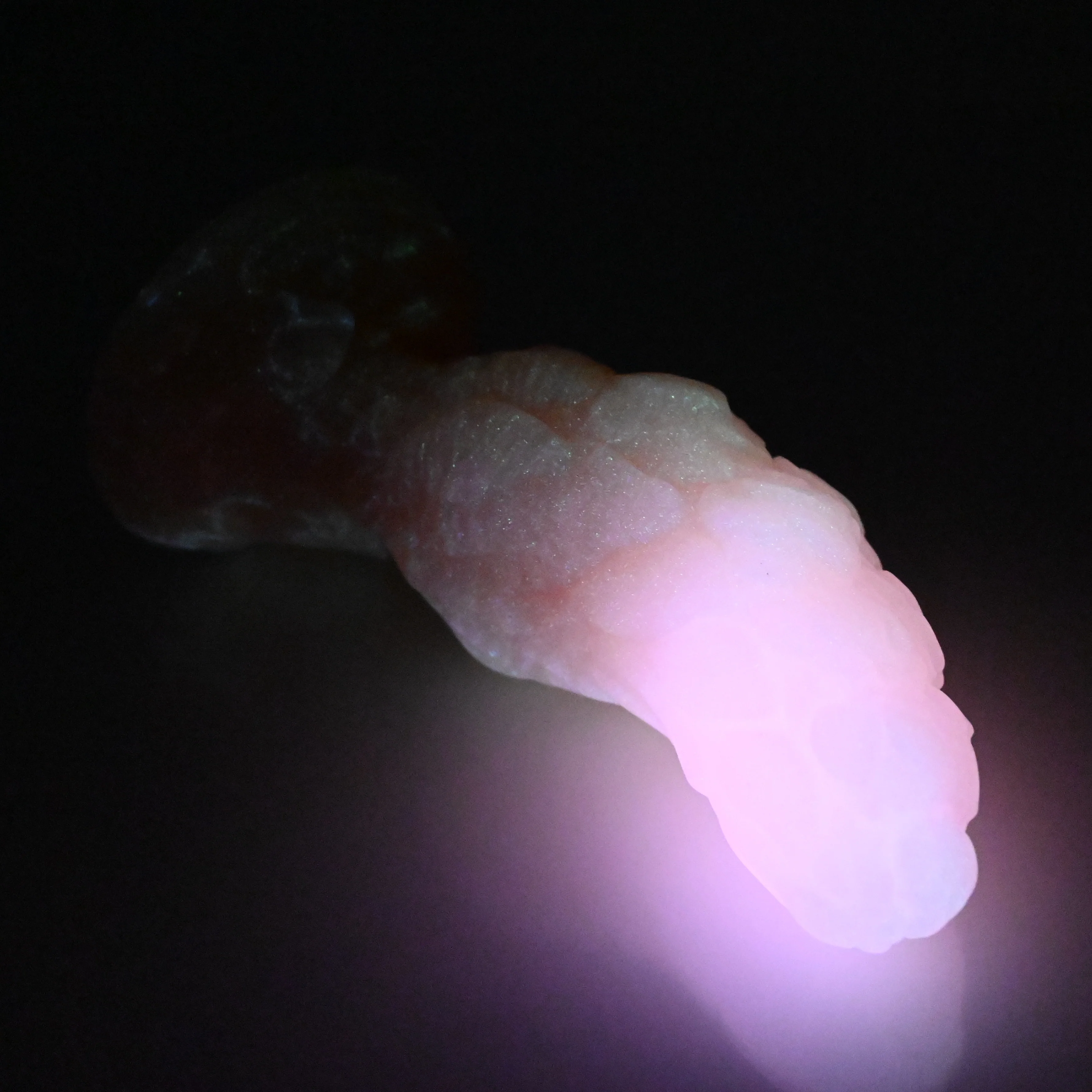 B2MEM87 Flora Small 0050 UV GITD - Image 4