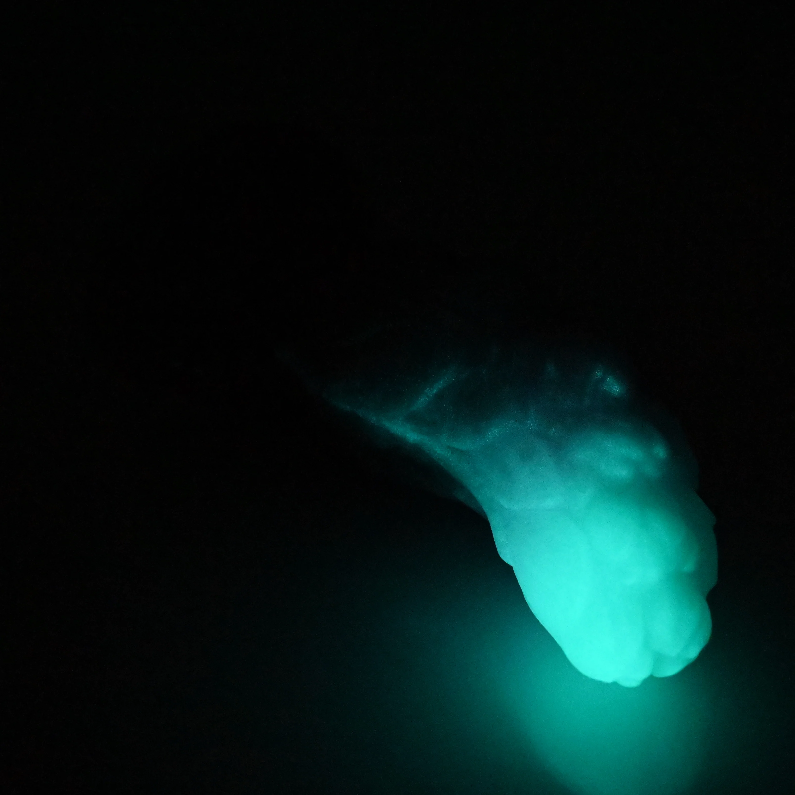 B2XFD55 Flora Small 0020 UV GITD CS - Image 4